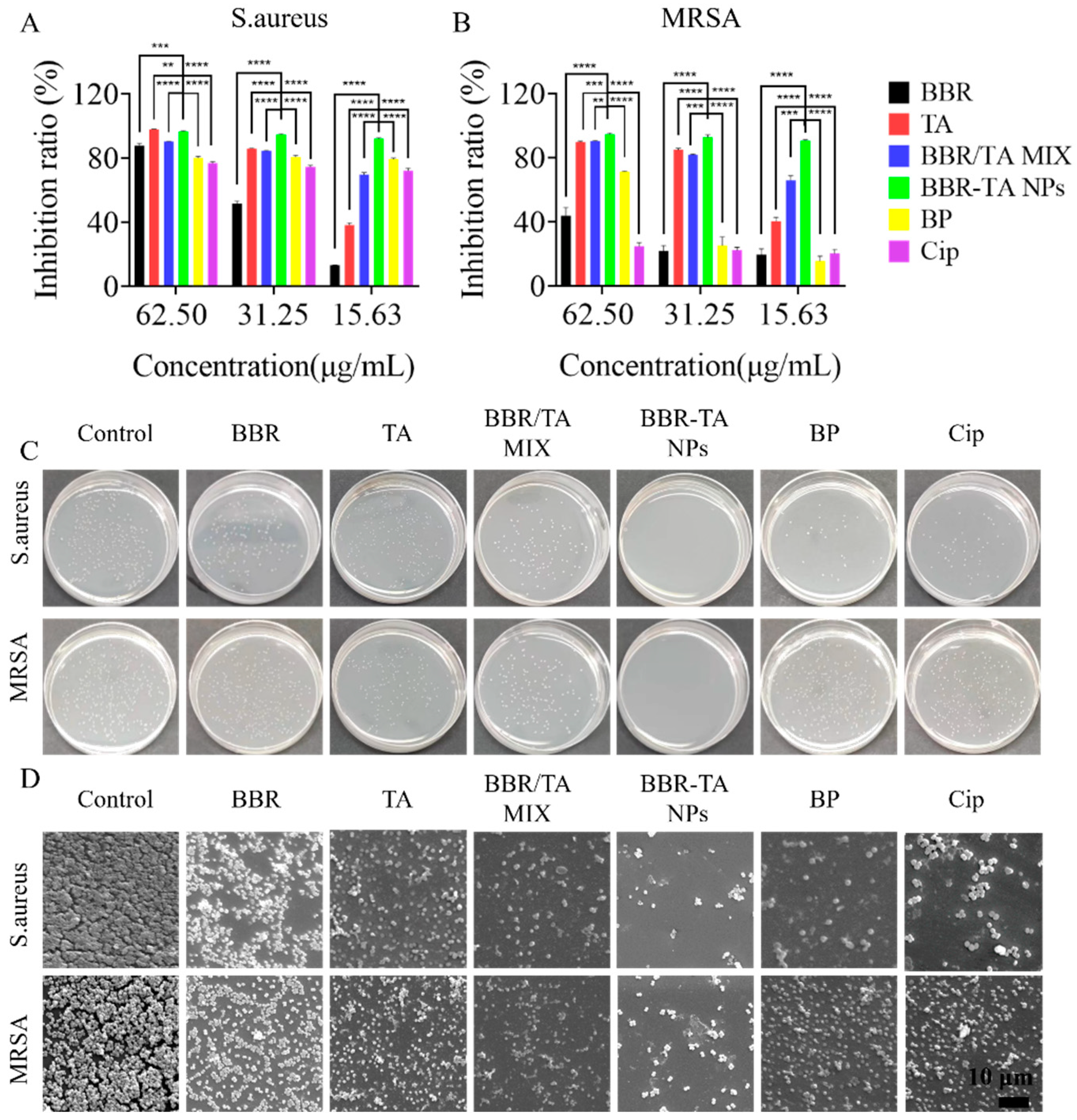 Pharmaceutics 15 01782 g003 Pharmaceutics 15 01782 g003