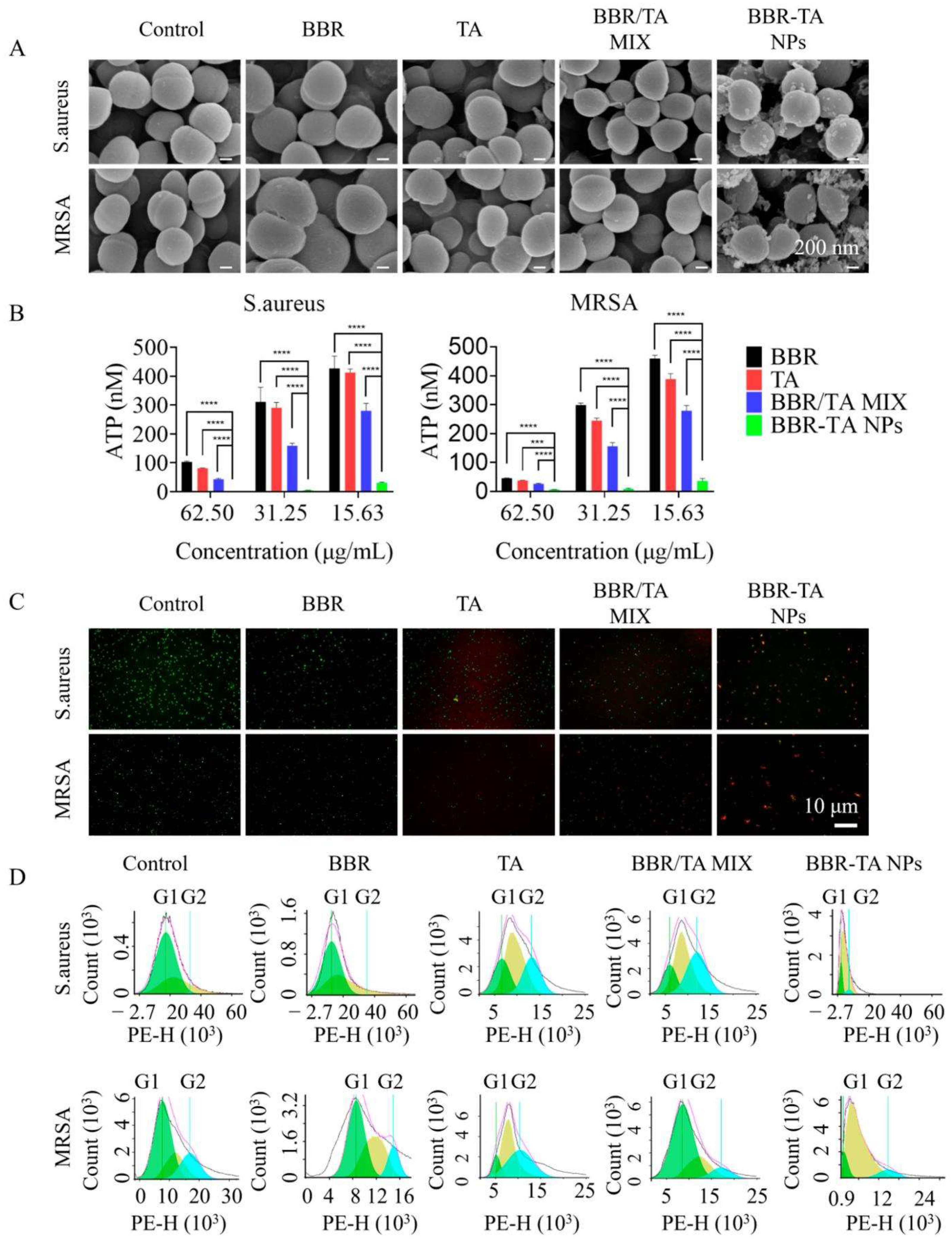 Pharmaceutics 15 01782 g004 Pharmaceutics 15 01782 g004