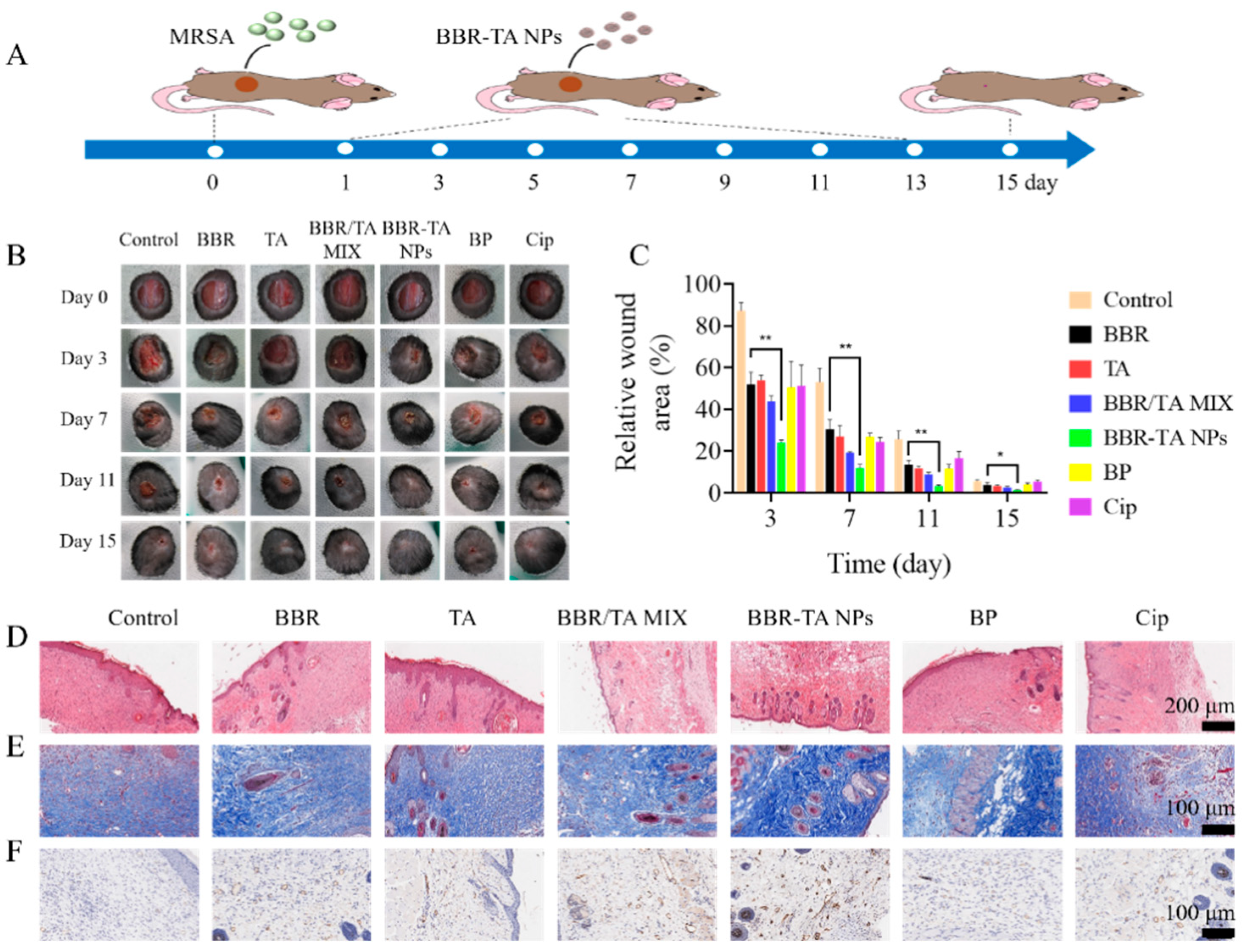 Pharmaceutics 15 01782 g005 Pharmaceutics 15 01782 g005