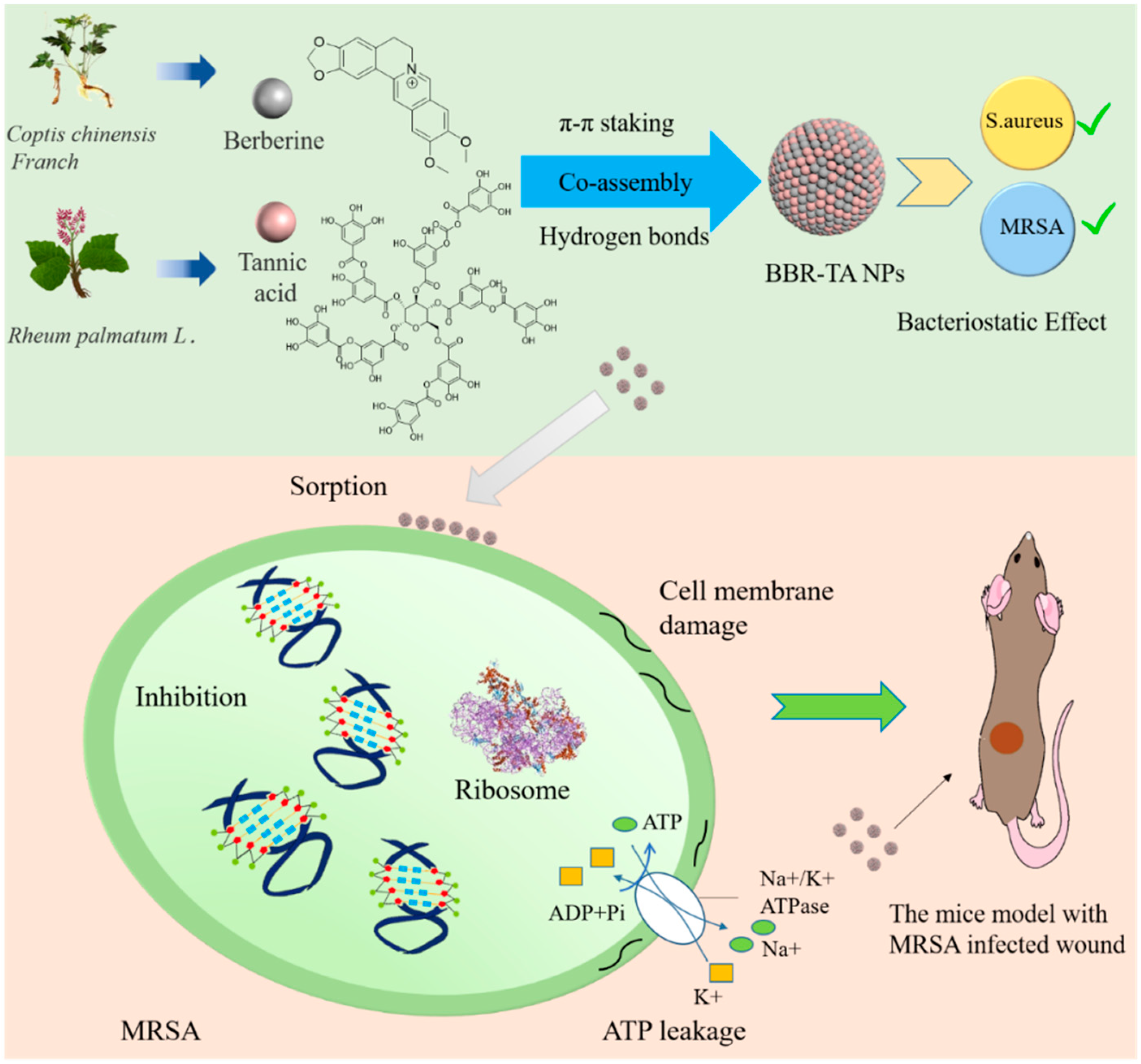 Pharmaceutics 15 01782 sch001 Pharmaceutics 15 01782 sch001