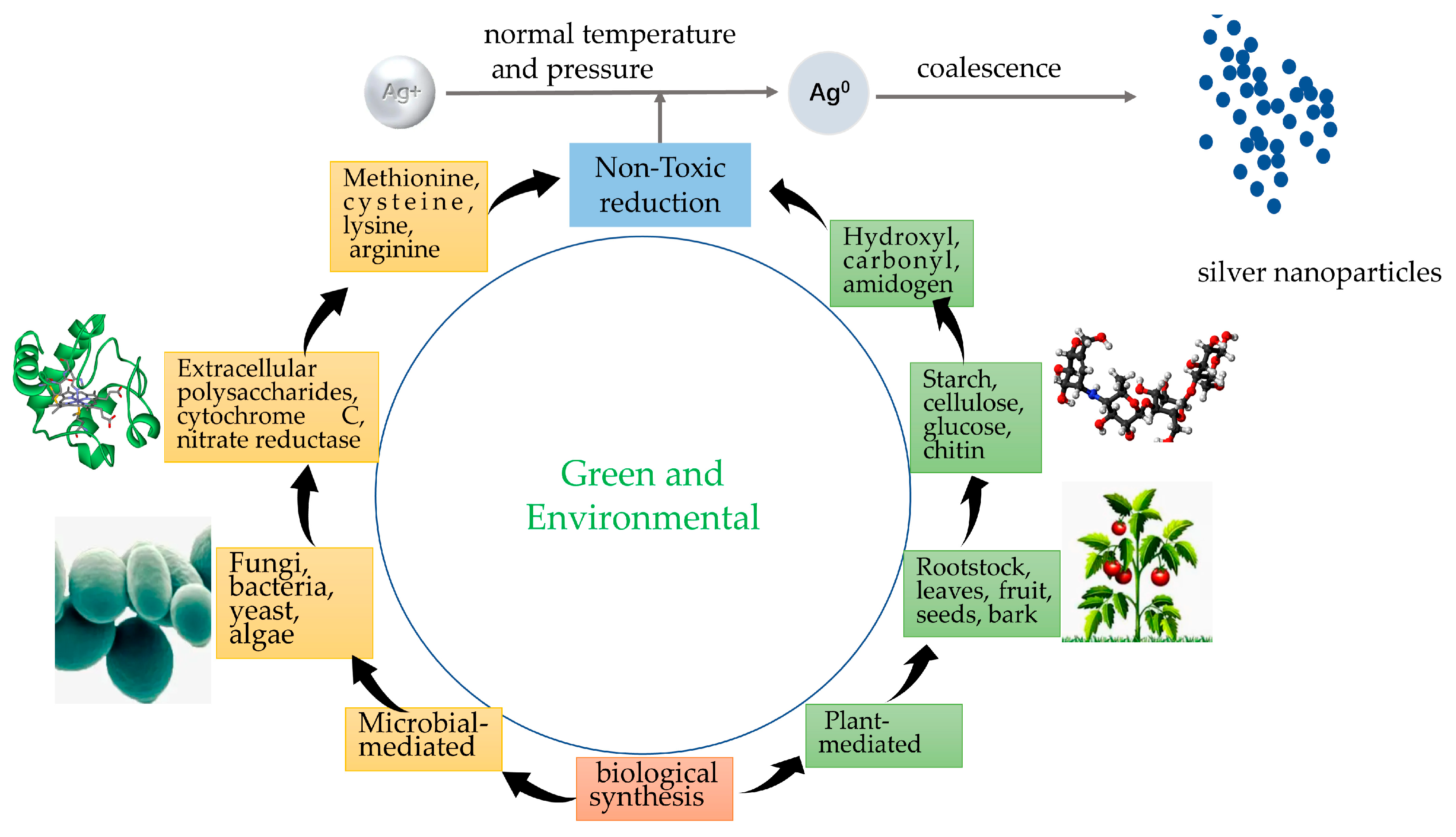 Pharmaceutics | Free Full-Text | Application of Silver 