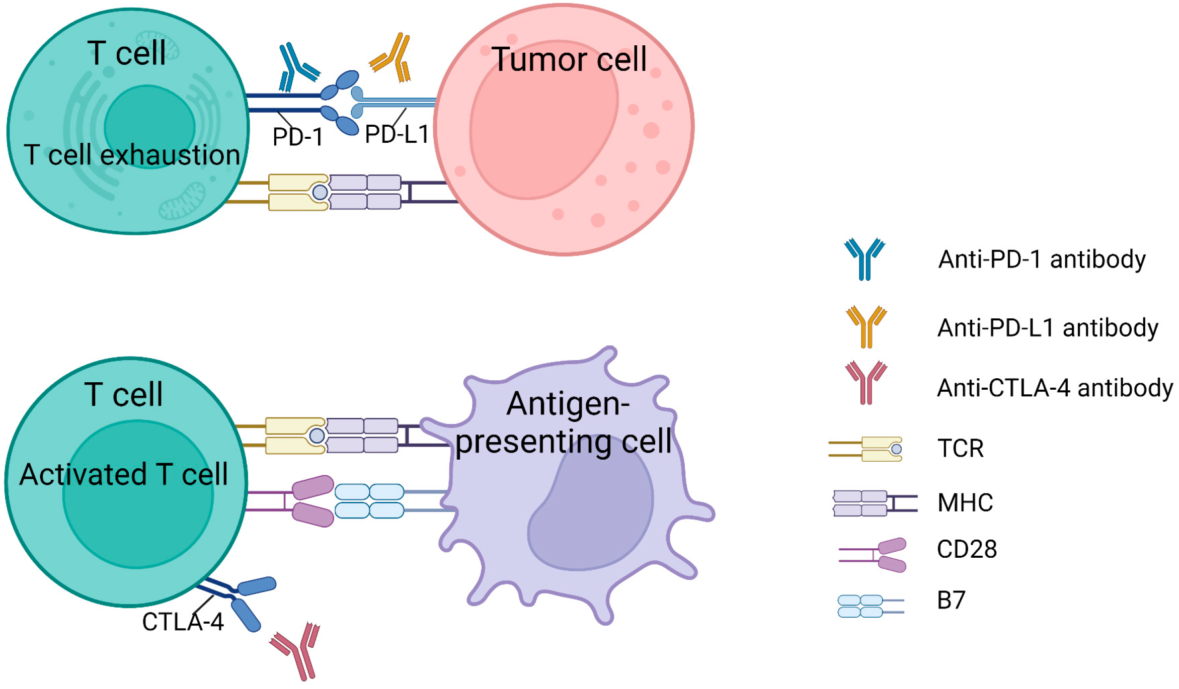 Pharmaceutics 15 01788 g002 Pharmaceutics 15 01788 g002