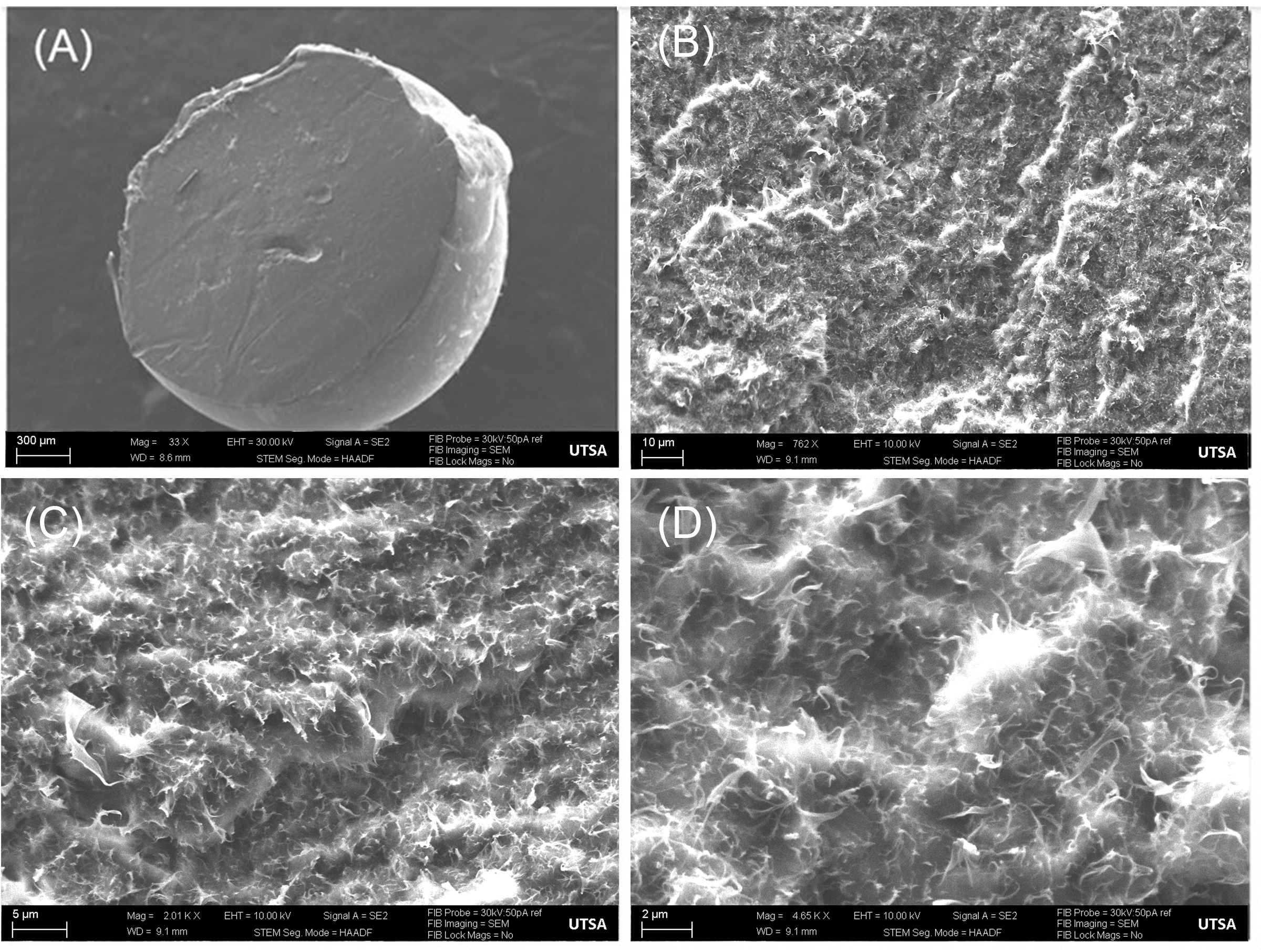 Pharmaceutics 15 01795 g003