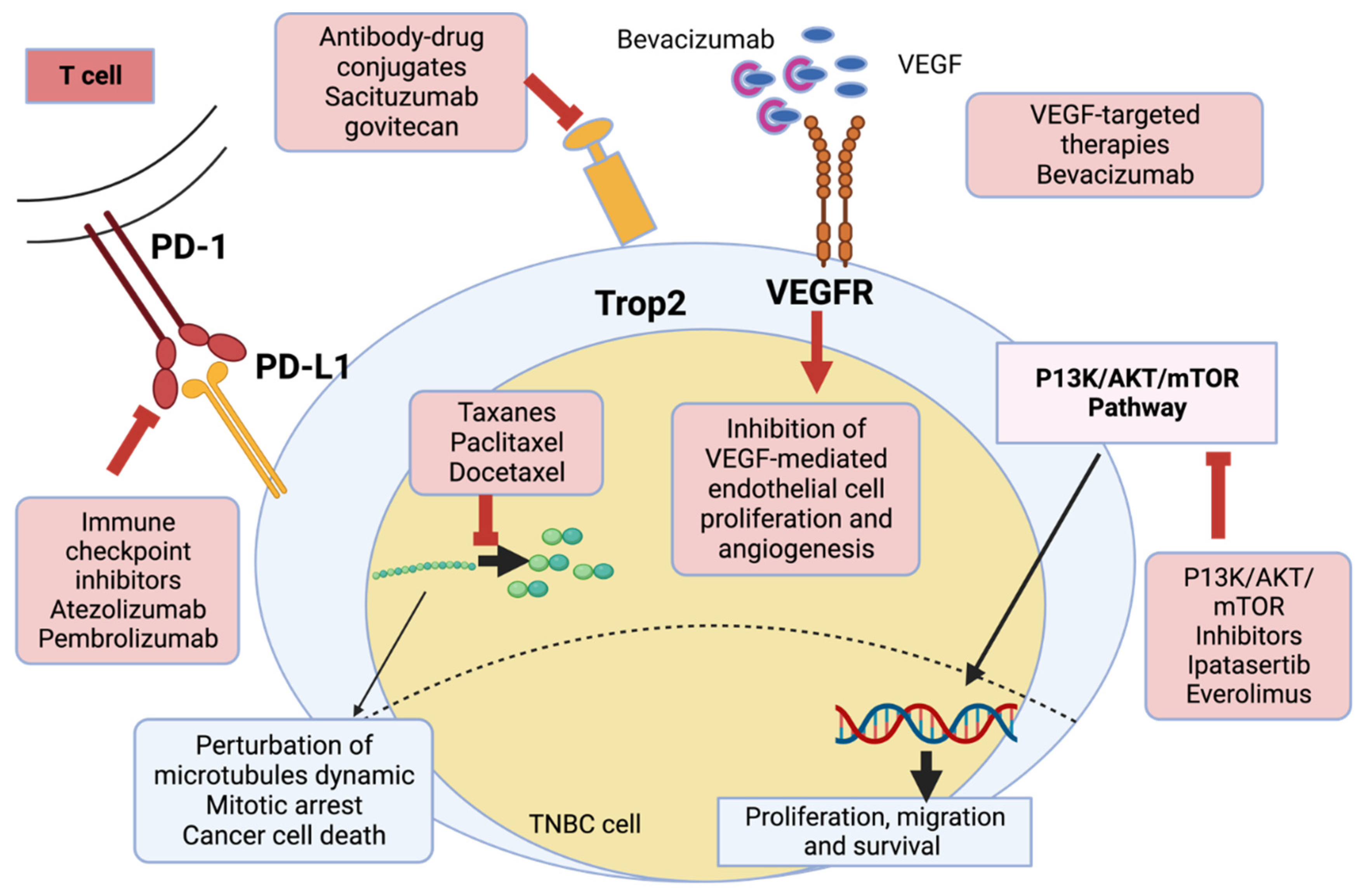Pharmaceutics 15 01796 g003 Pharmaceutics 15 01796 g003