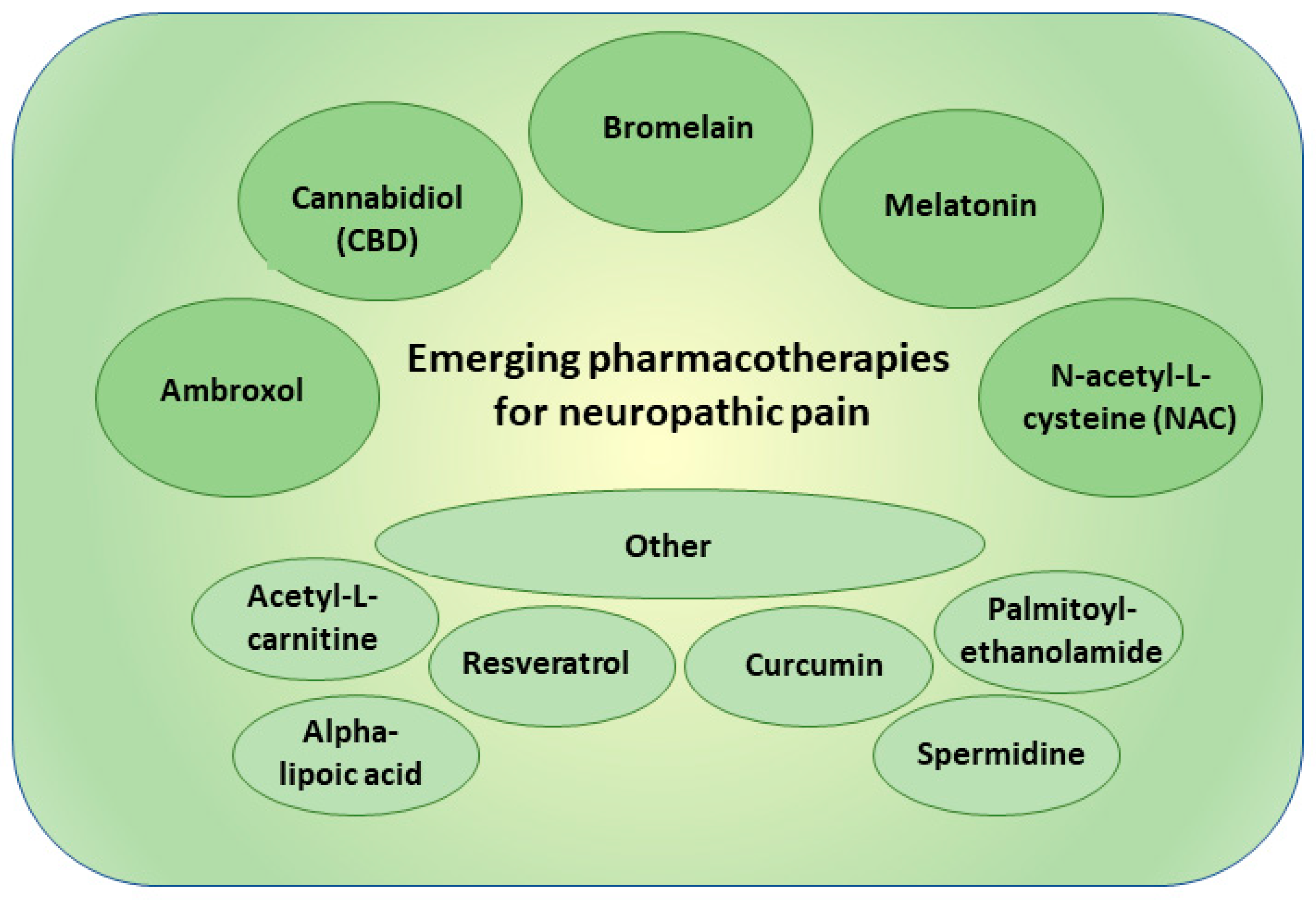 Pharmaceutics 15 01799 g003