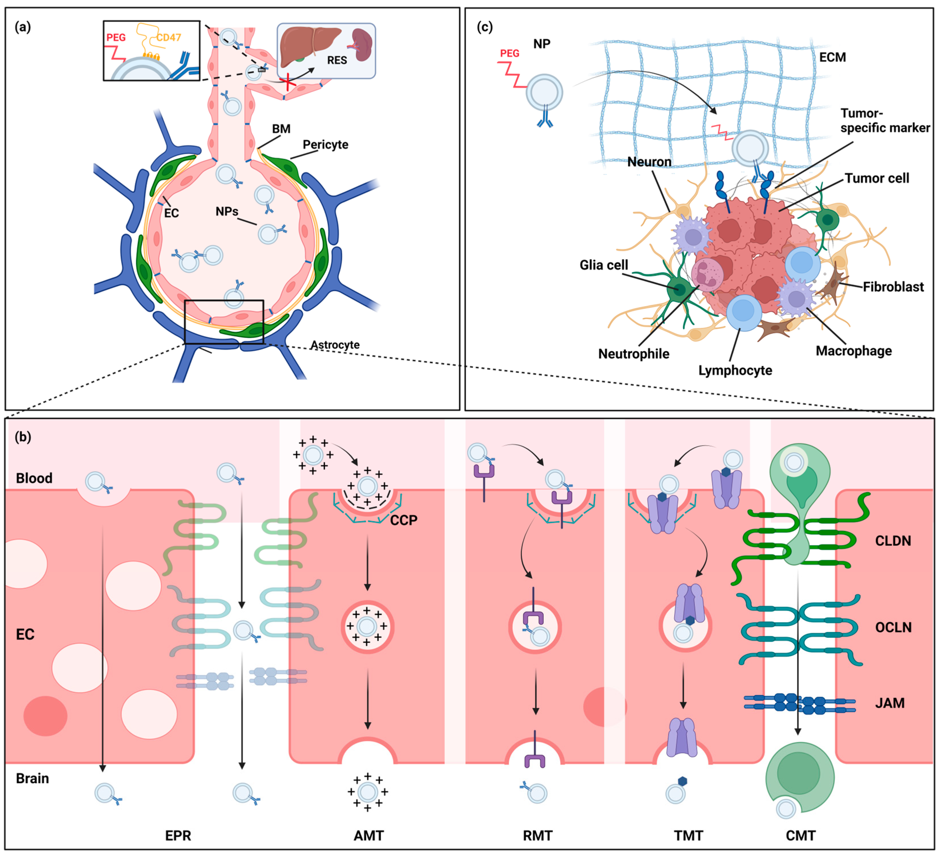 Pharmaceutics 15 01804 g003 Pharmaceutics 15 01804 g003