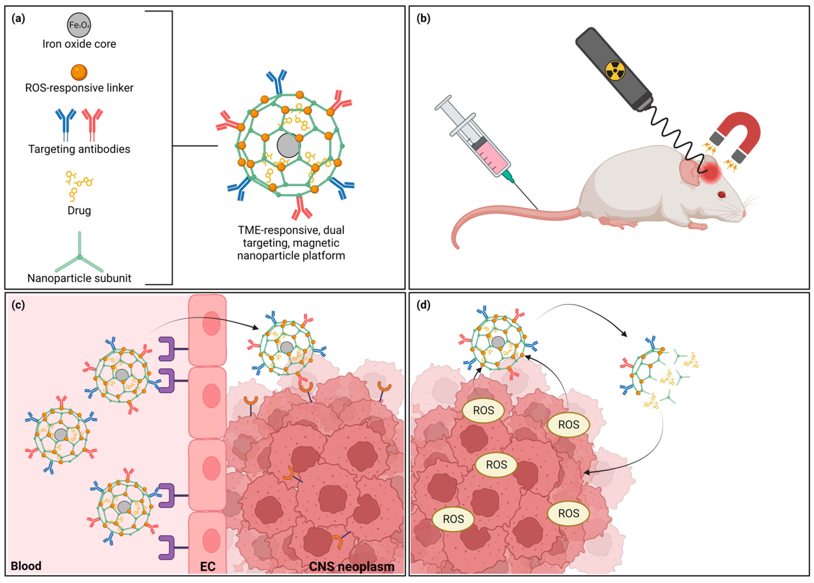 Pharmaceutics 15 01804 g004 Pharmaceutics 15 01804 g004