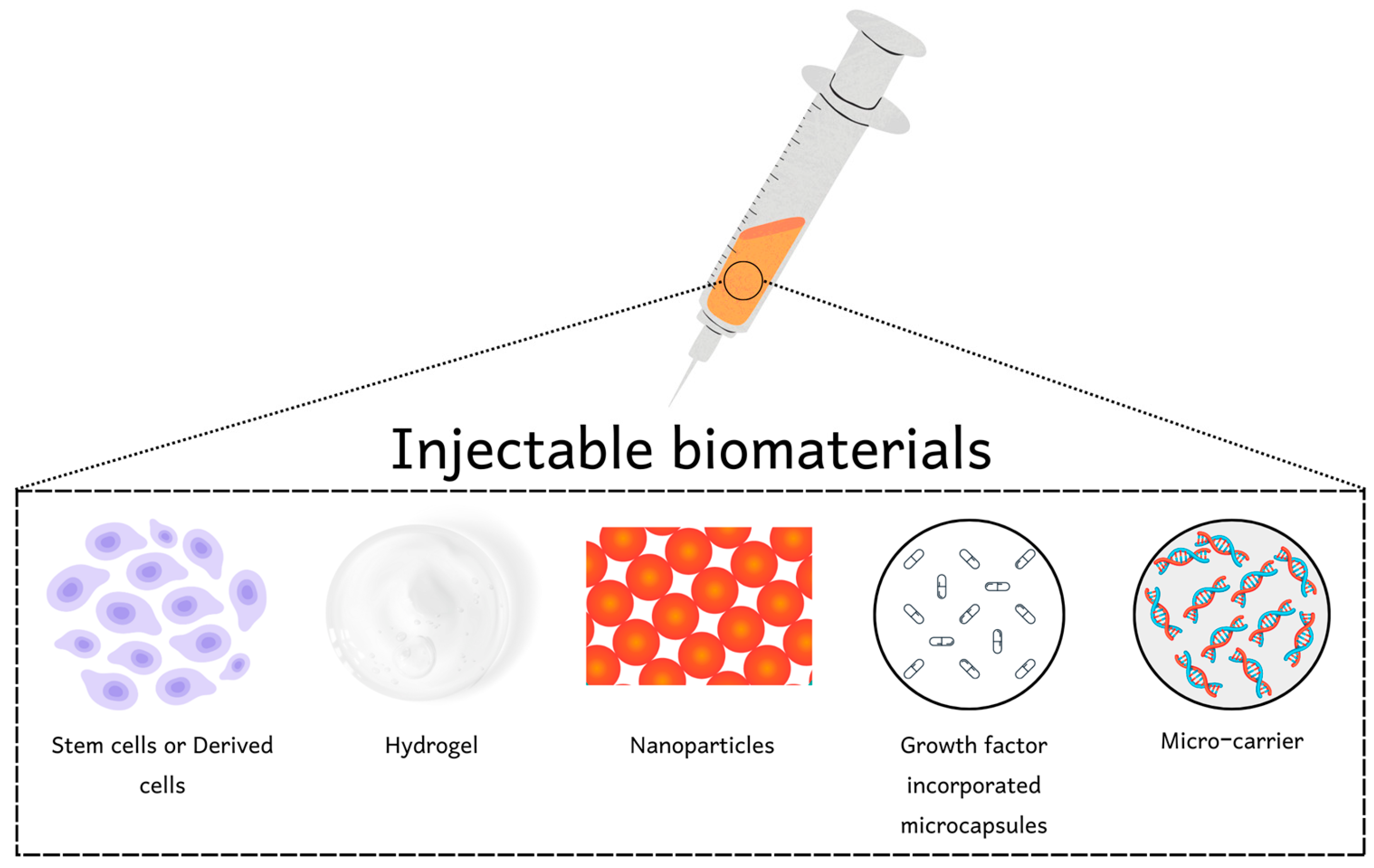 Pharmaceutics 15 01813 g001 Pharmaceutics 15 01813 g001