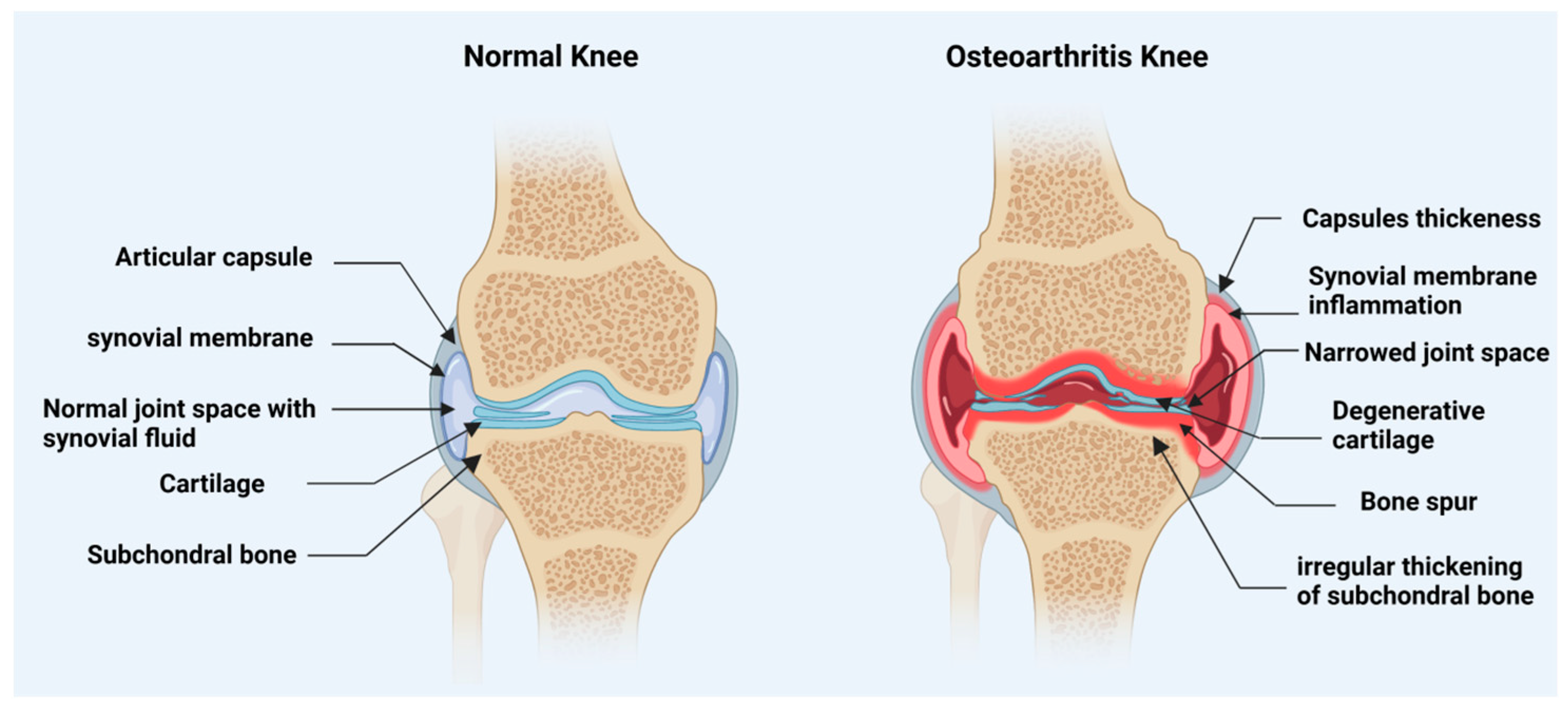 Pharmaceutics 15 01814 g001