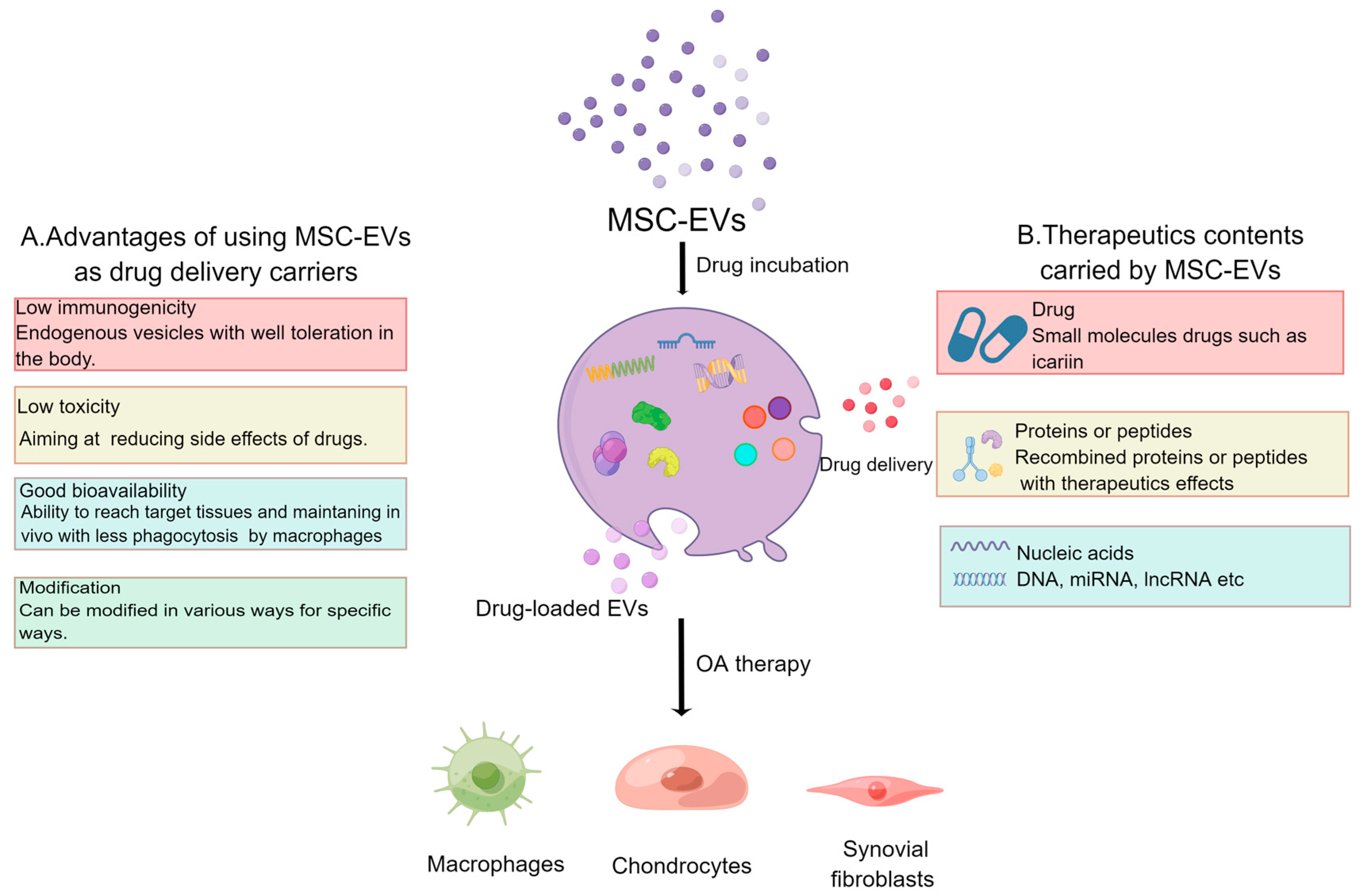 Pharmaceutics 15 01814 g003