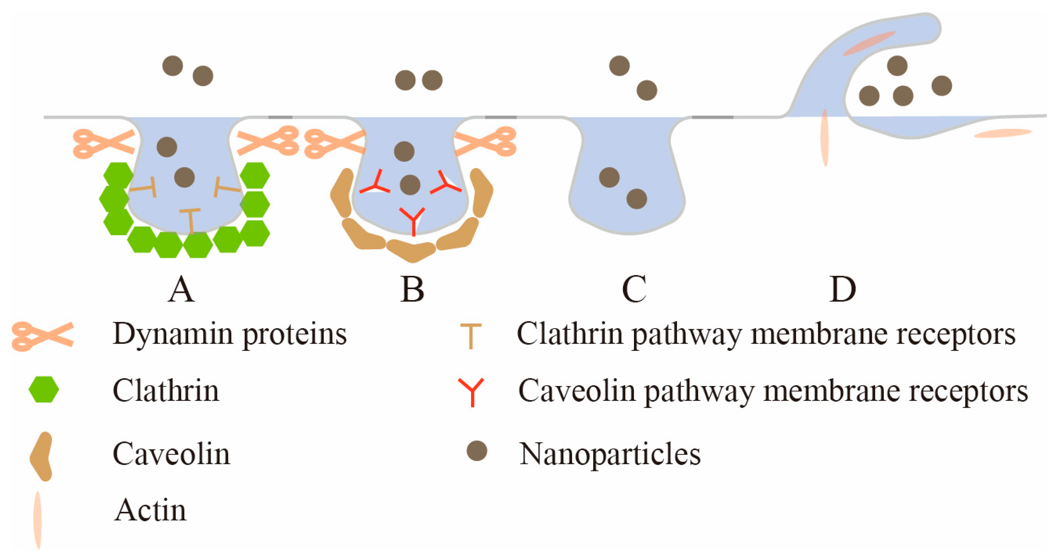 Pharmaceutics 15 01816 g003 550