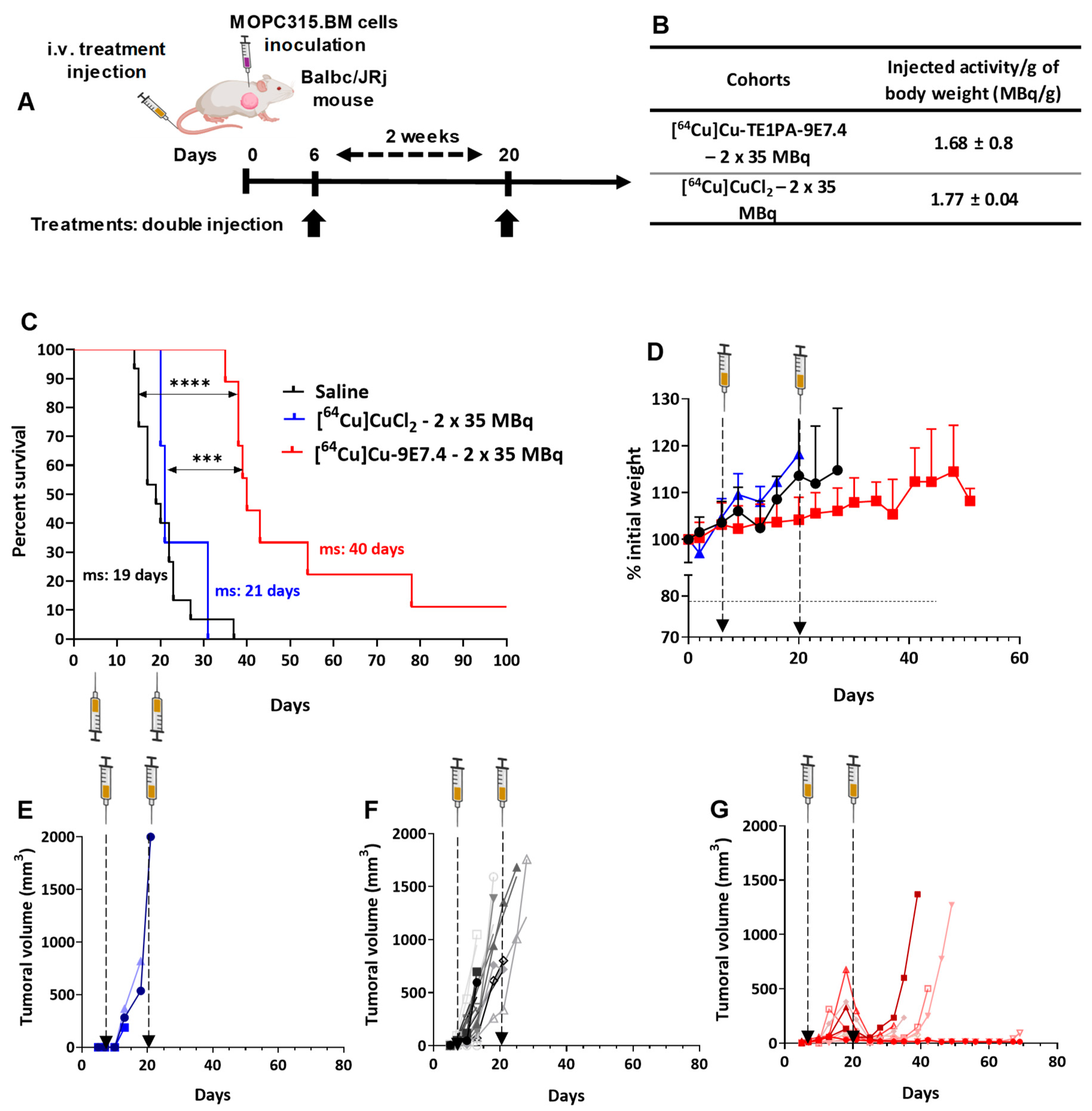 Pharmaceutics 15 01817 g006