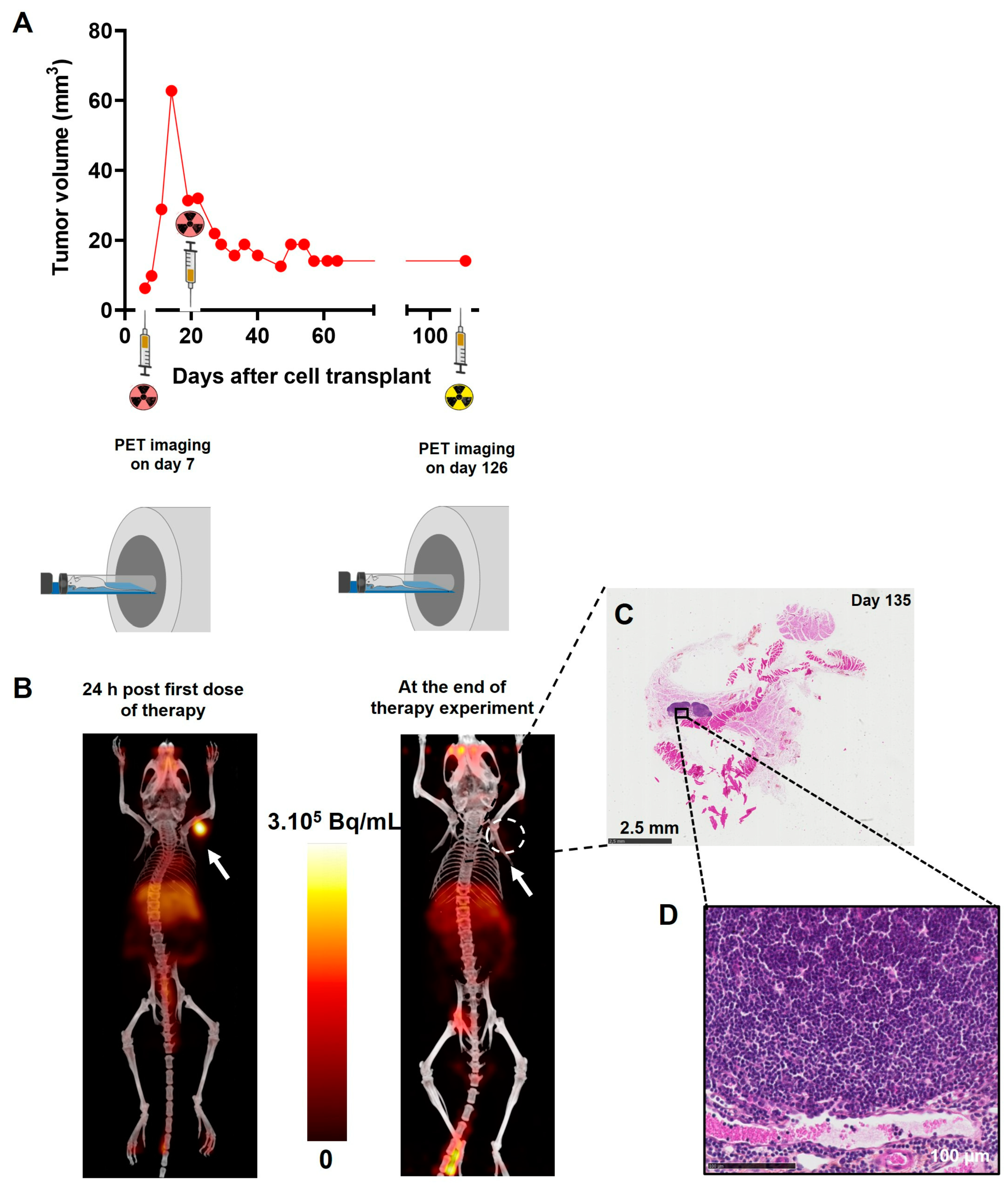 Pharmaceutics 15 01817 g008