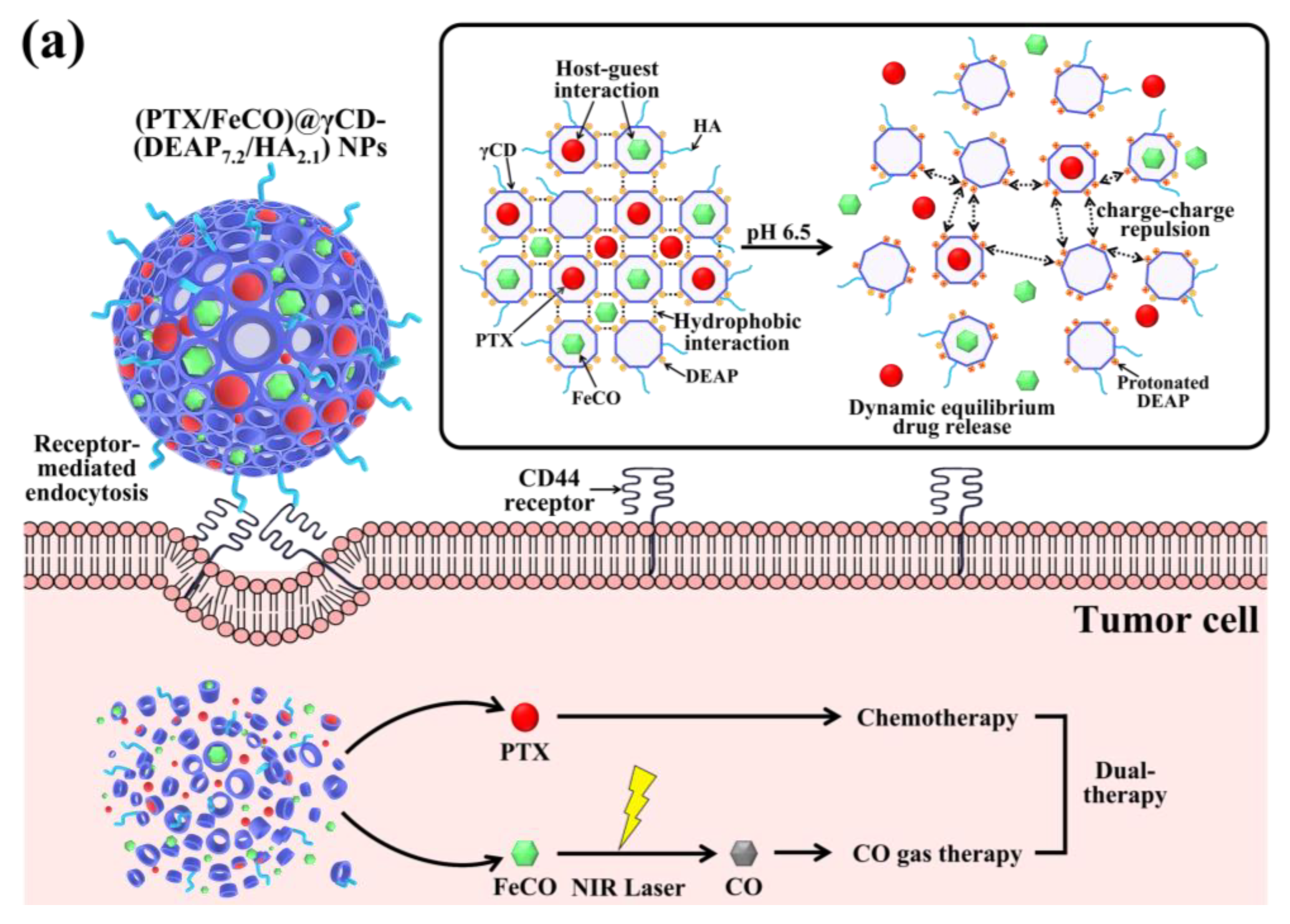 Pharmaceutics 15 01818 g001a Pharmaceutics 15 01818 g001a