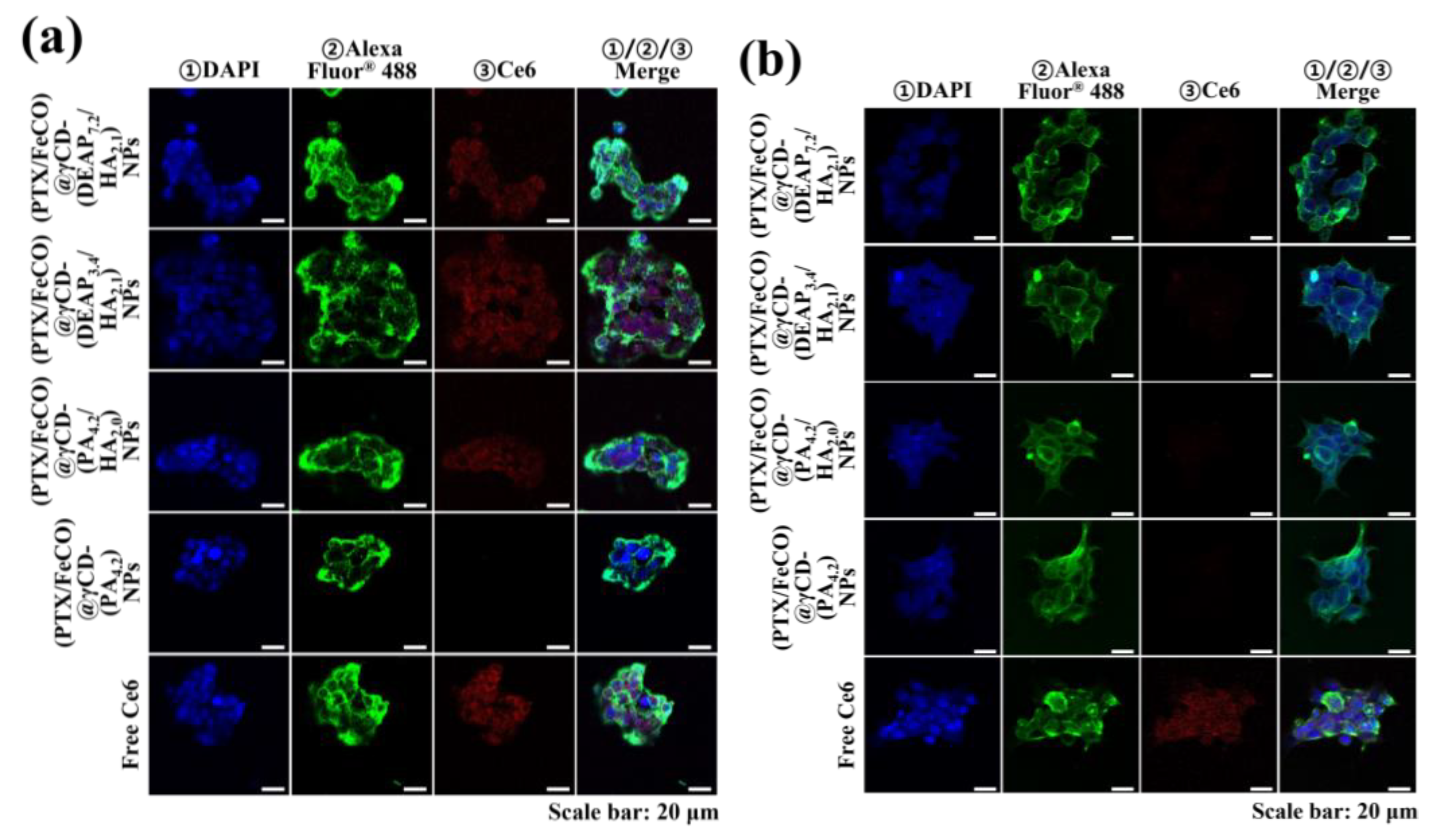 Pharmaceutics 15 01818 g006 Pharmaceutics 15 01818 g006