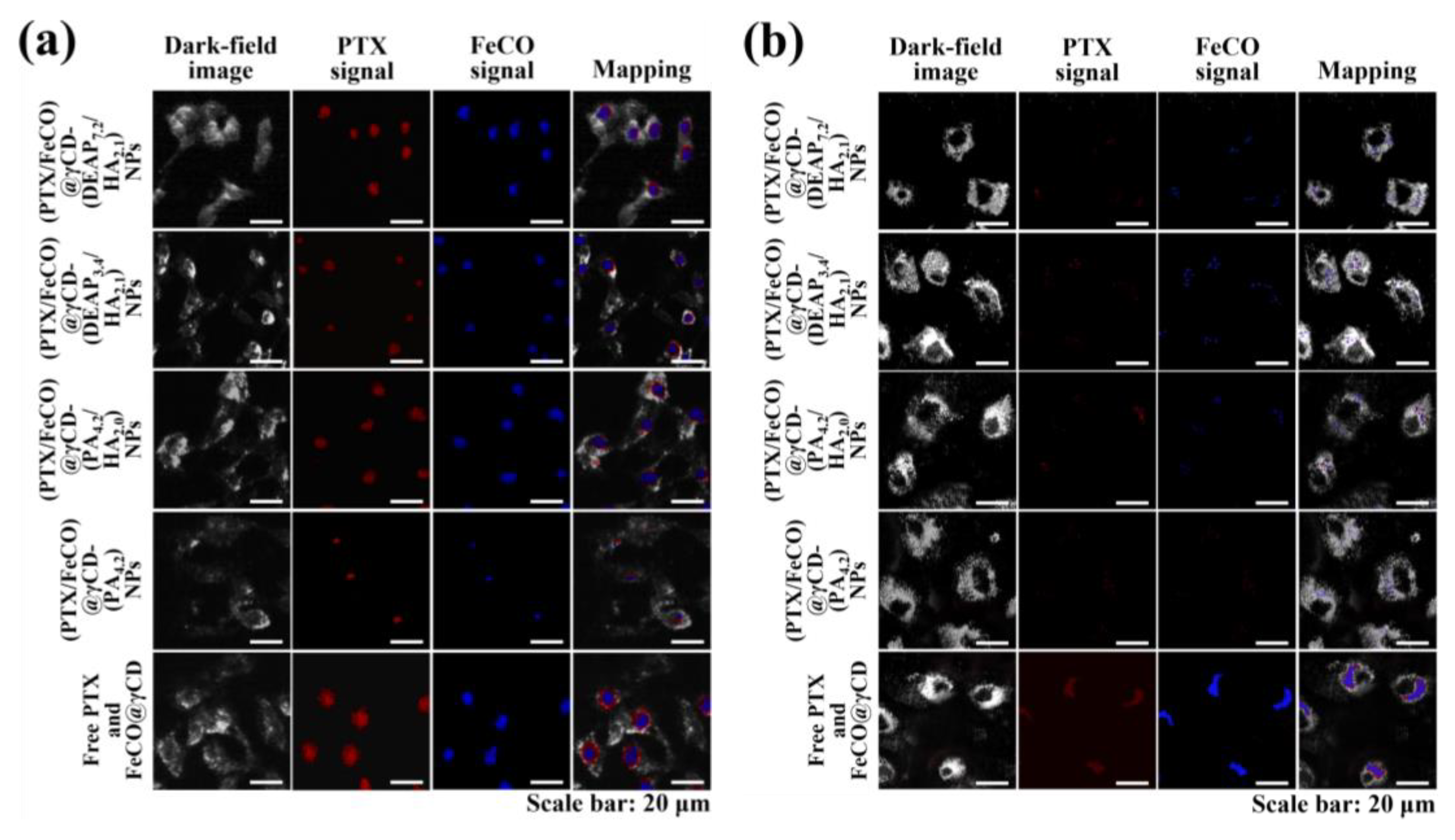 Pharmaceutics 15 01818 g007 Pharmaceutics 15 01818 g007