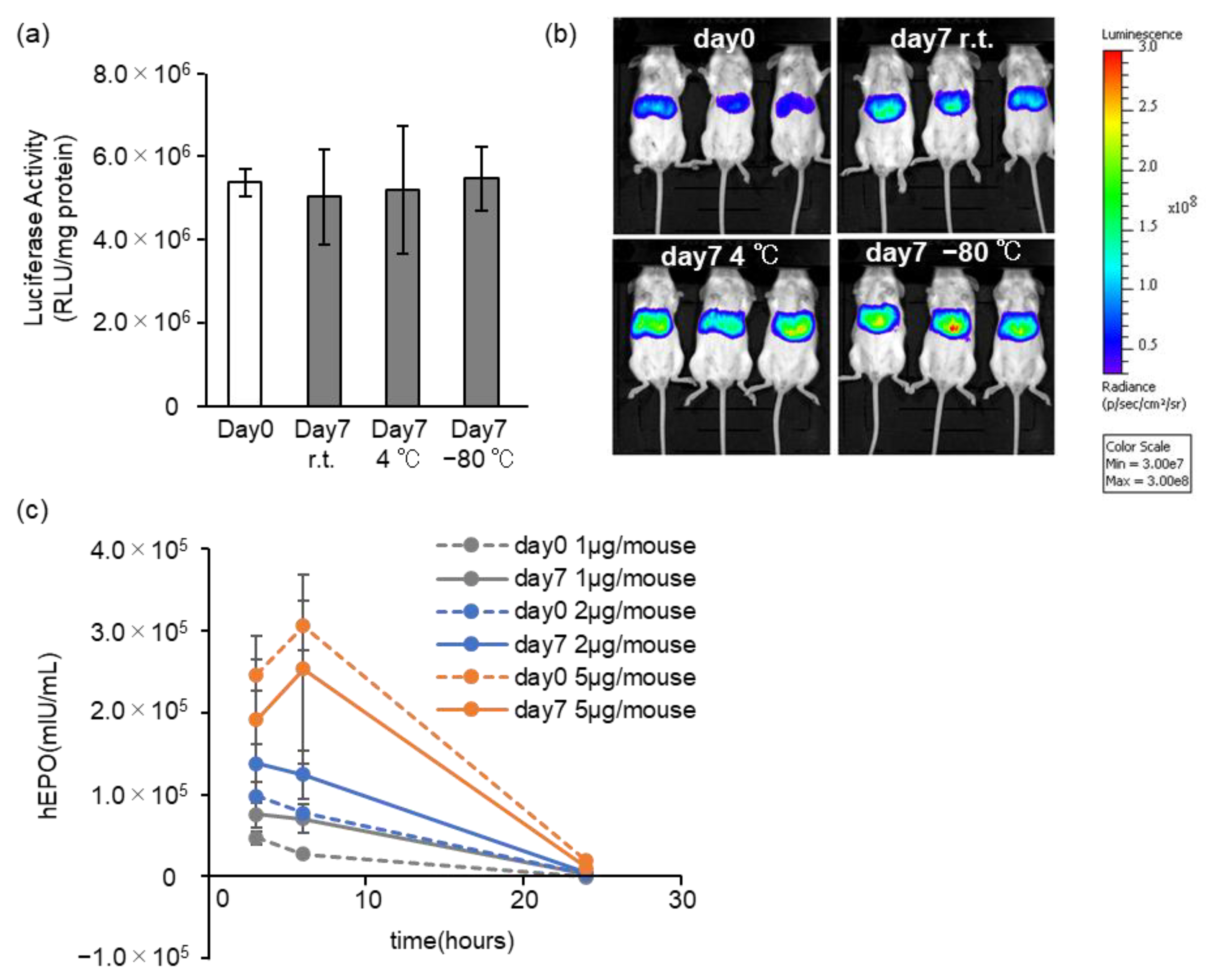 Pharmaceutics 15 01819 g007 Pharmaceutics 15 01819 g007