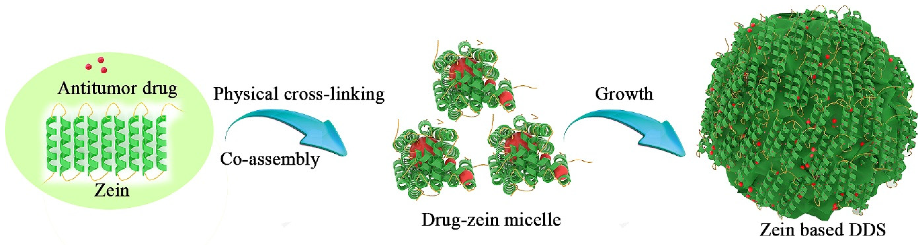 Pharmaceutics | Free Full-Text | Recent Advances in Zein-Based 