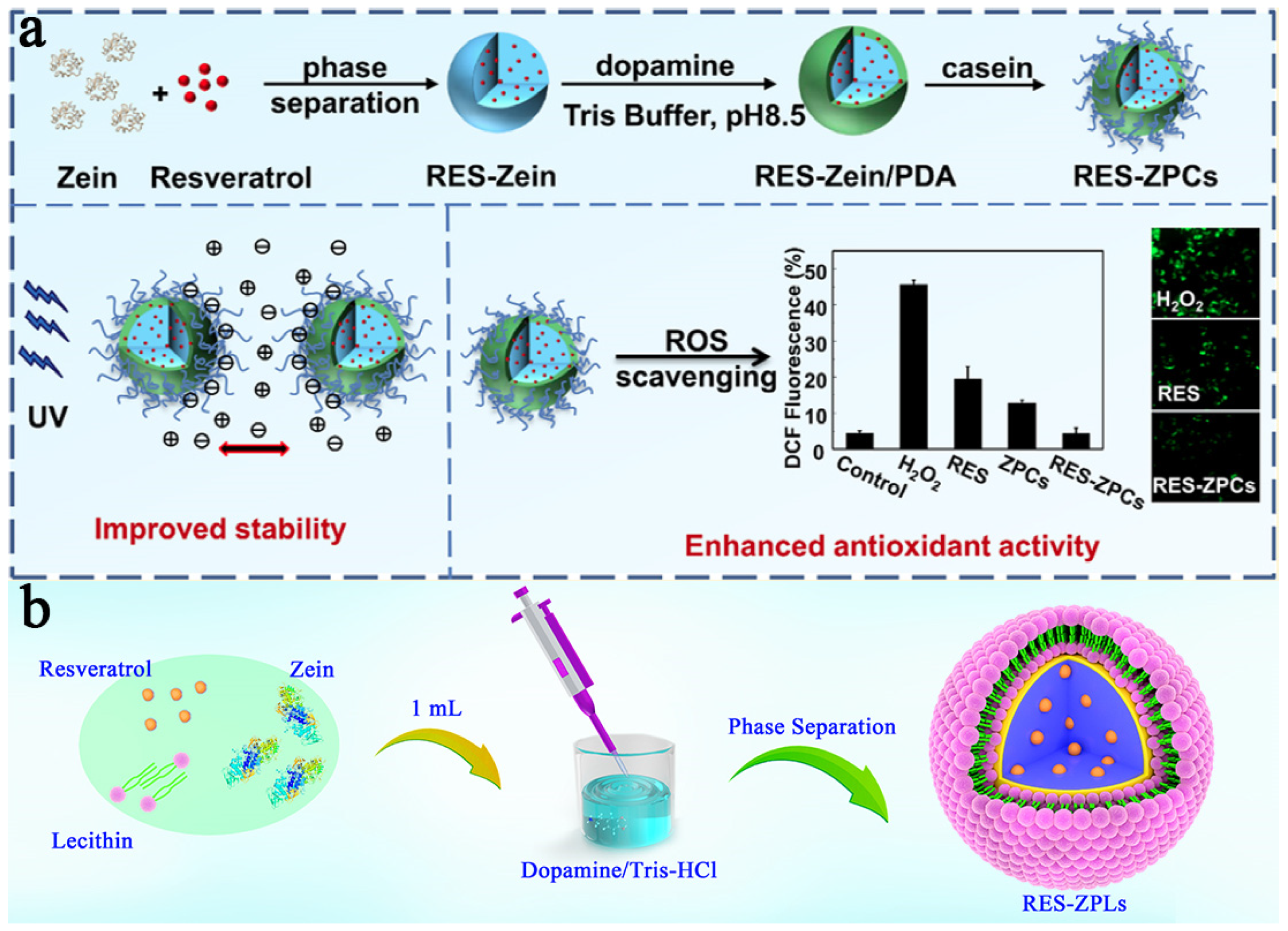 Pharmaceutics 15 01820 g006 Pharmaceutics 15 01820 g006