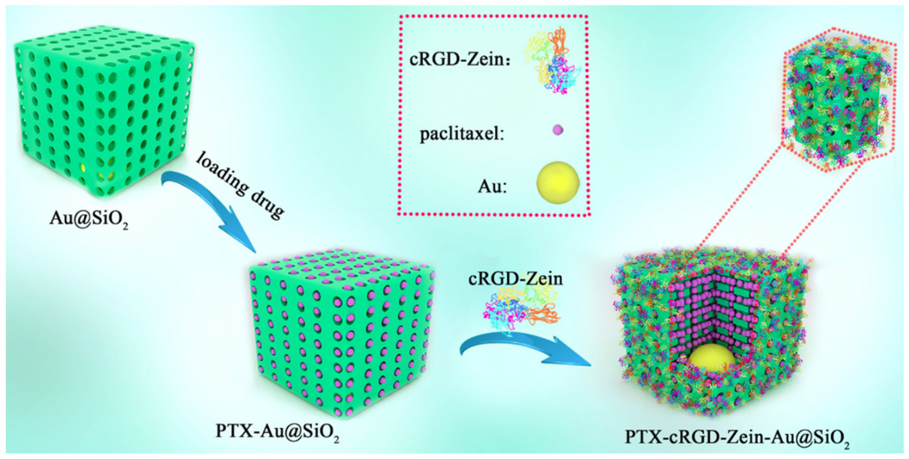 Pharmaceutics 15 01820 g008 Pharmaceutics 15 01820 g008