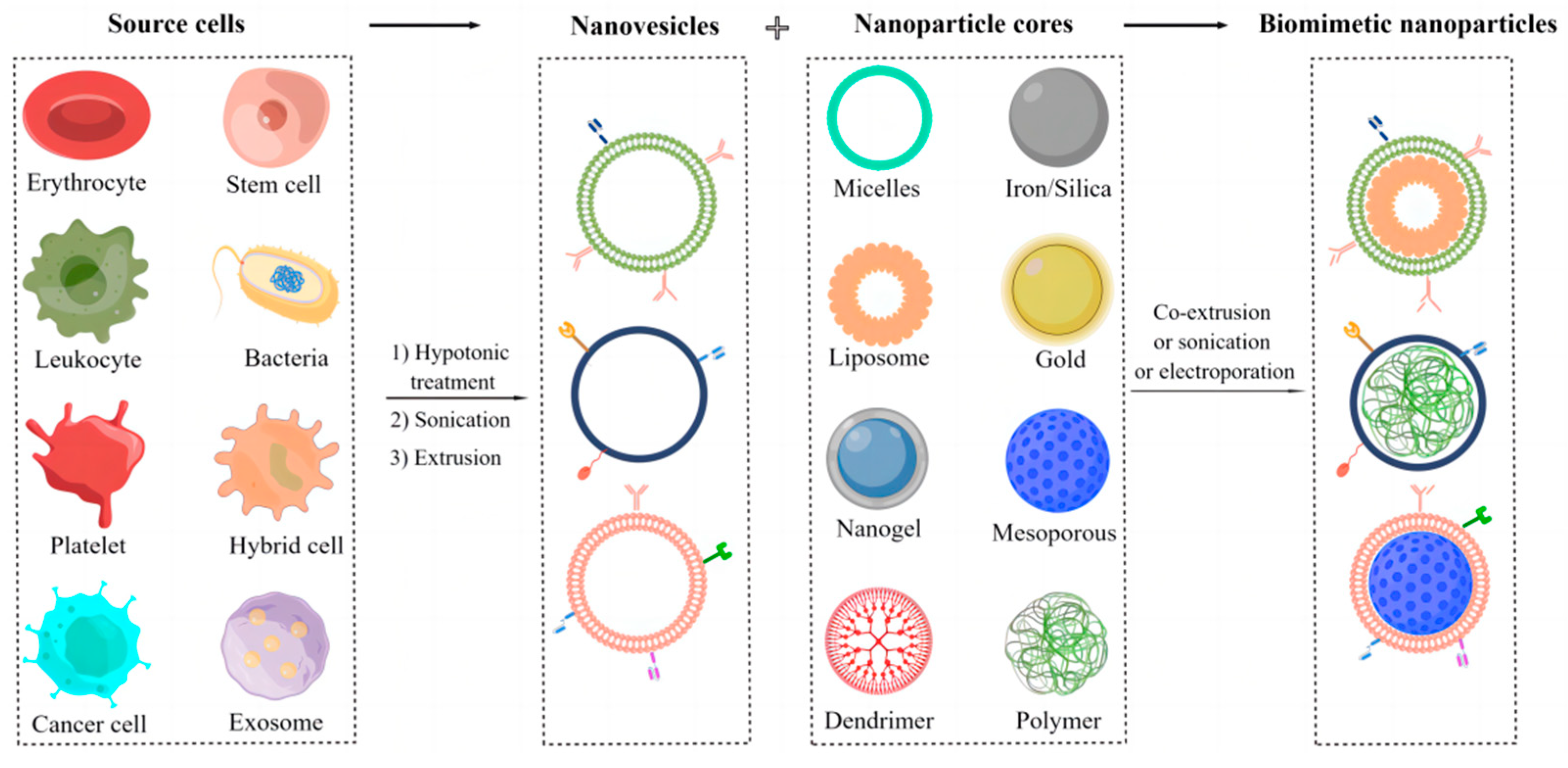 Pharmaceutics 15 01821 g002