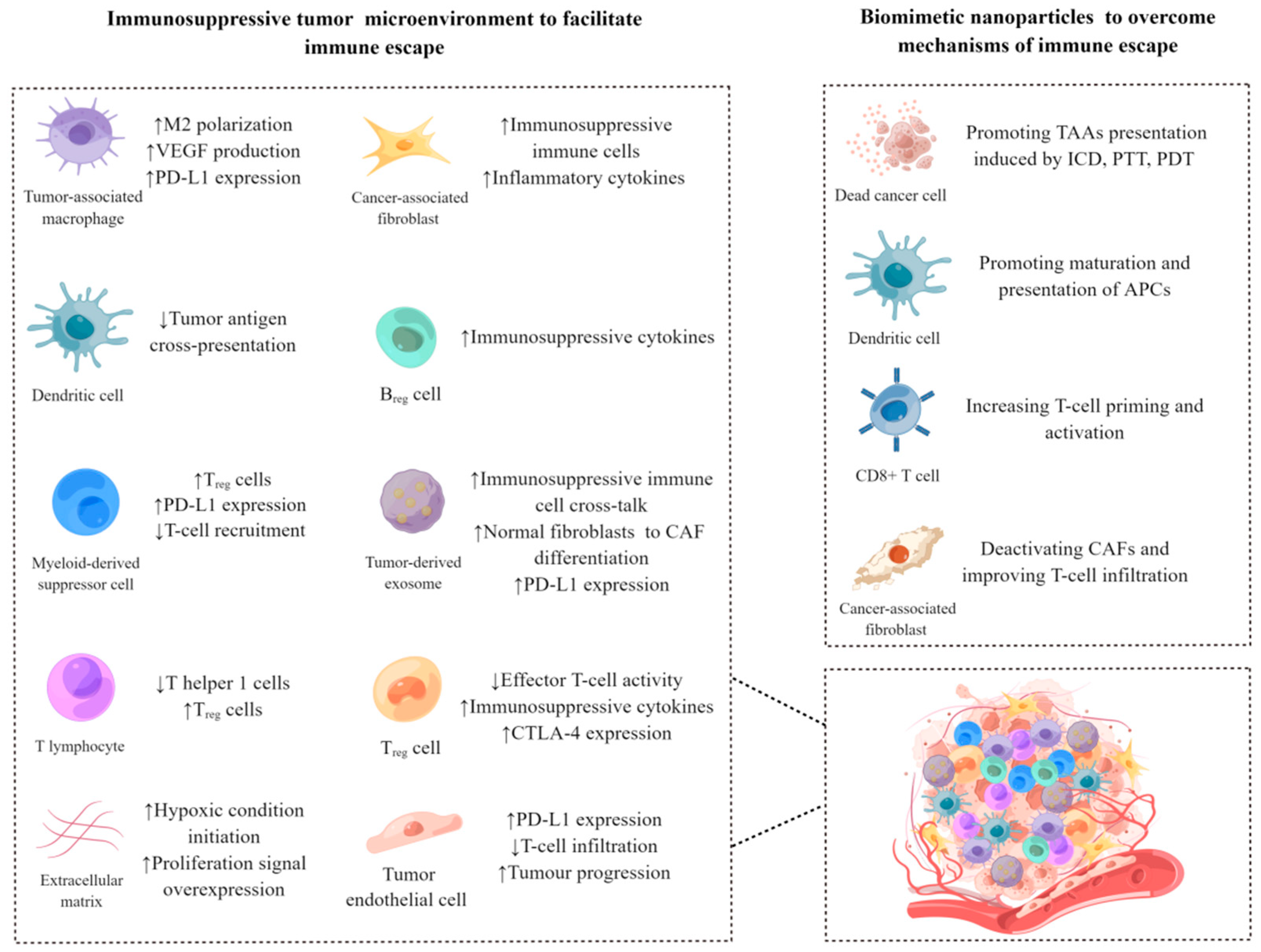 Pharmaceutics 15 01821 g005
