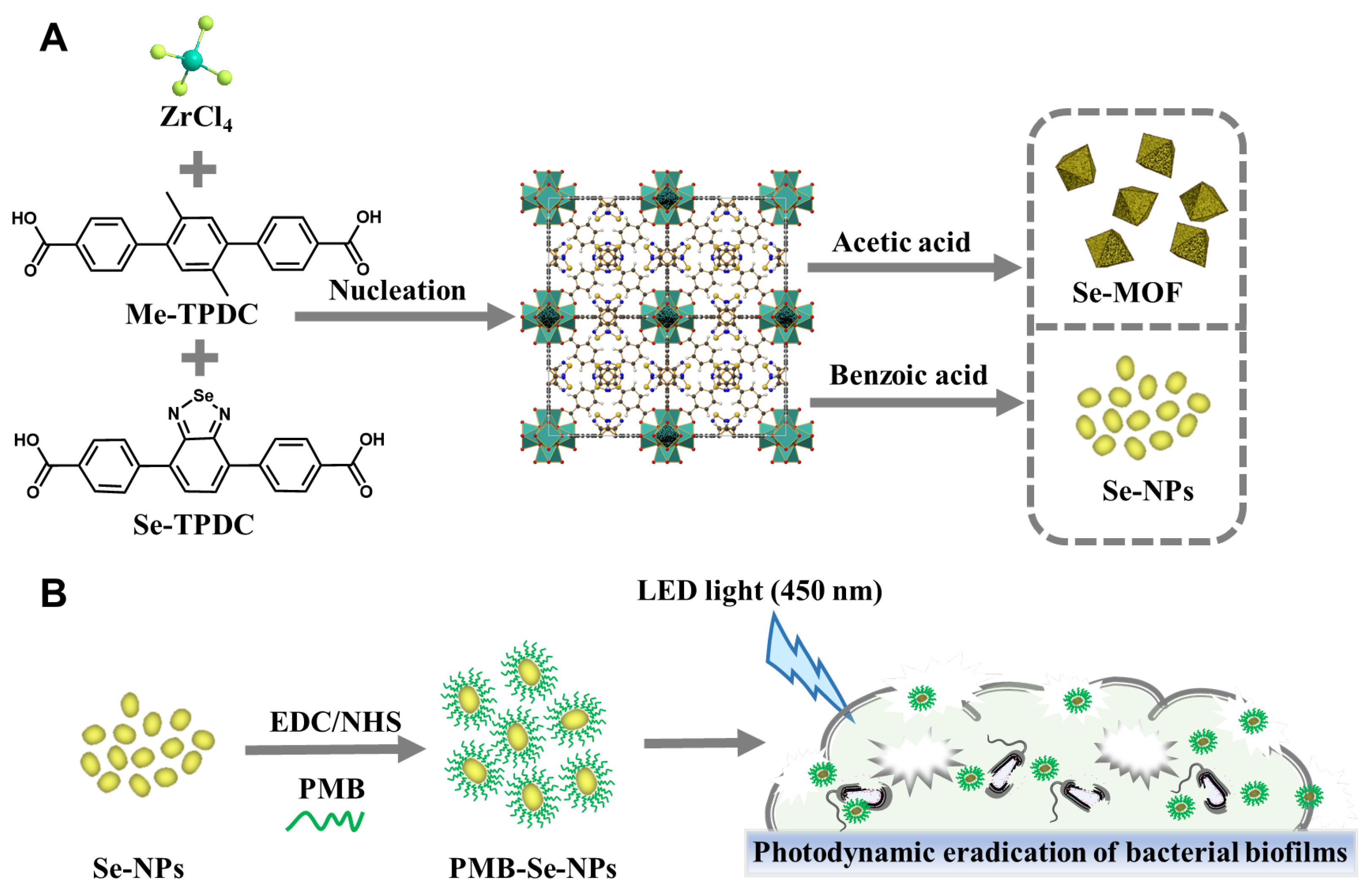 Pharmaceutics 15 01826 g001