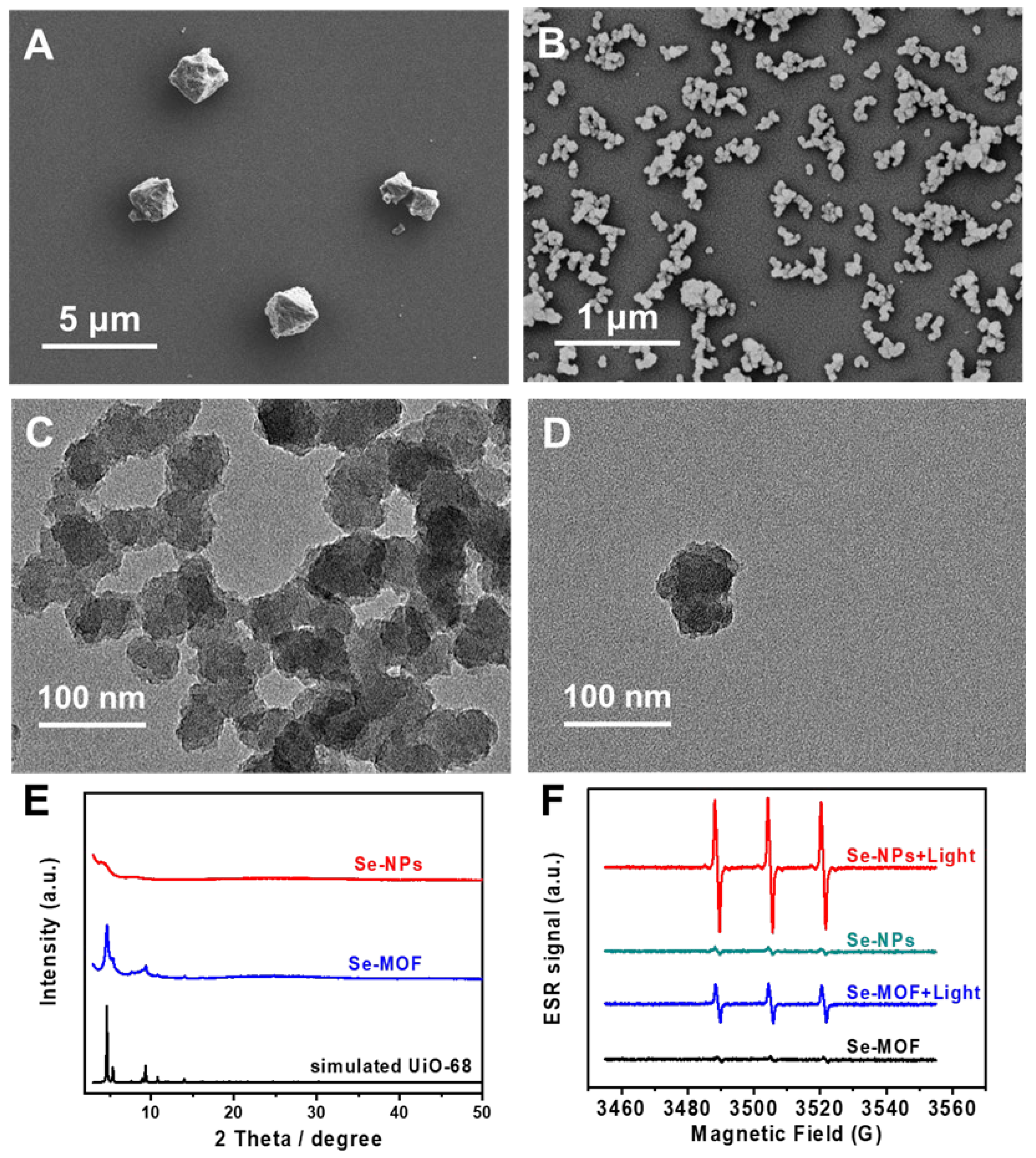 Pharmaceutics 15 01826 g002