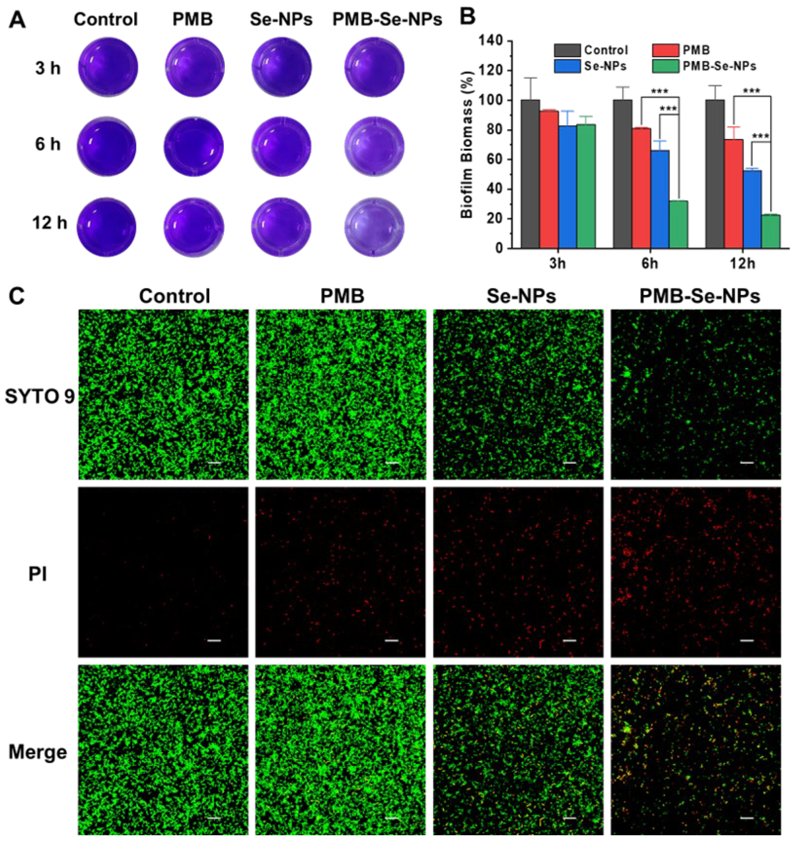 Pharmaceutics 15 01826 g007