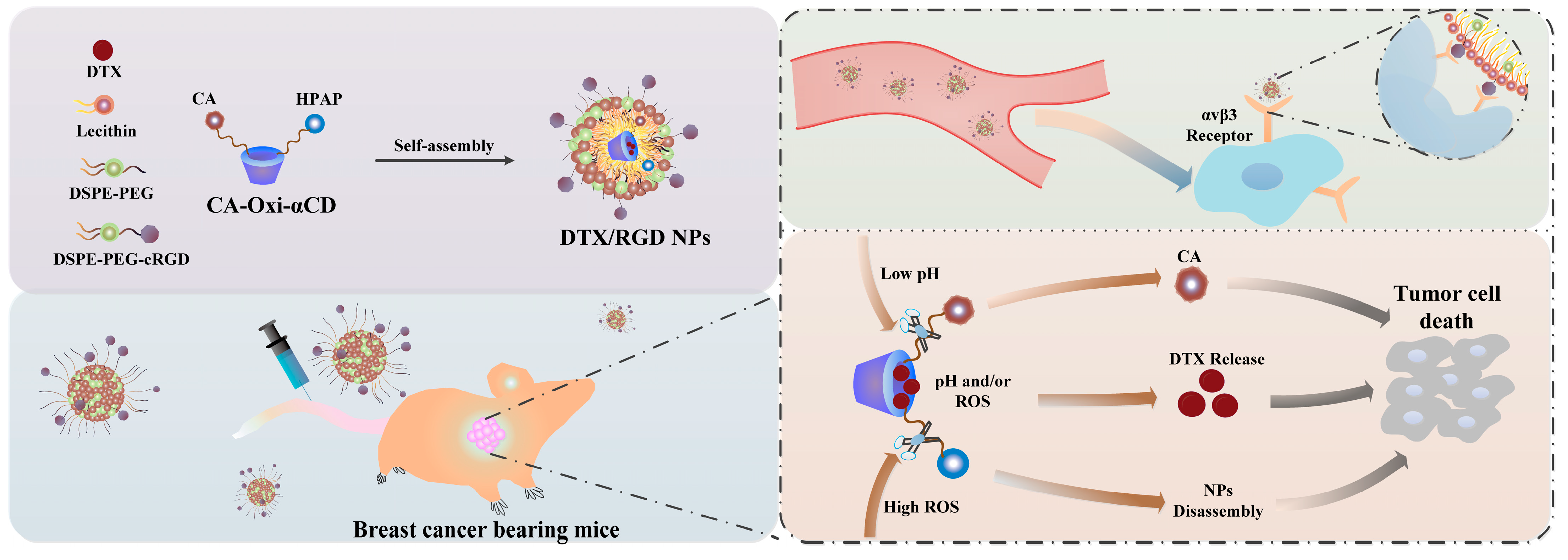 Pharmaceutics 15 01827 g001 Pharmaceutics 15 01827 g001