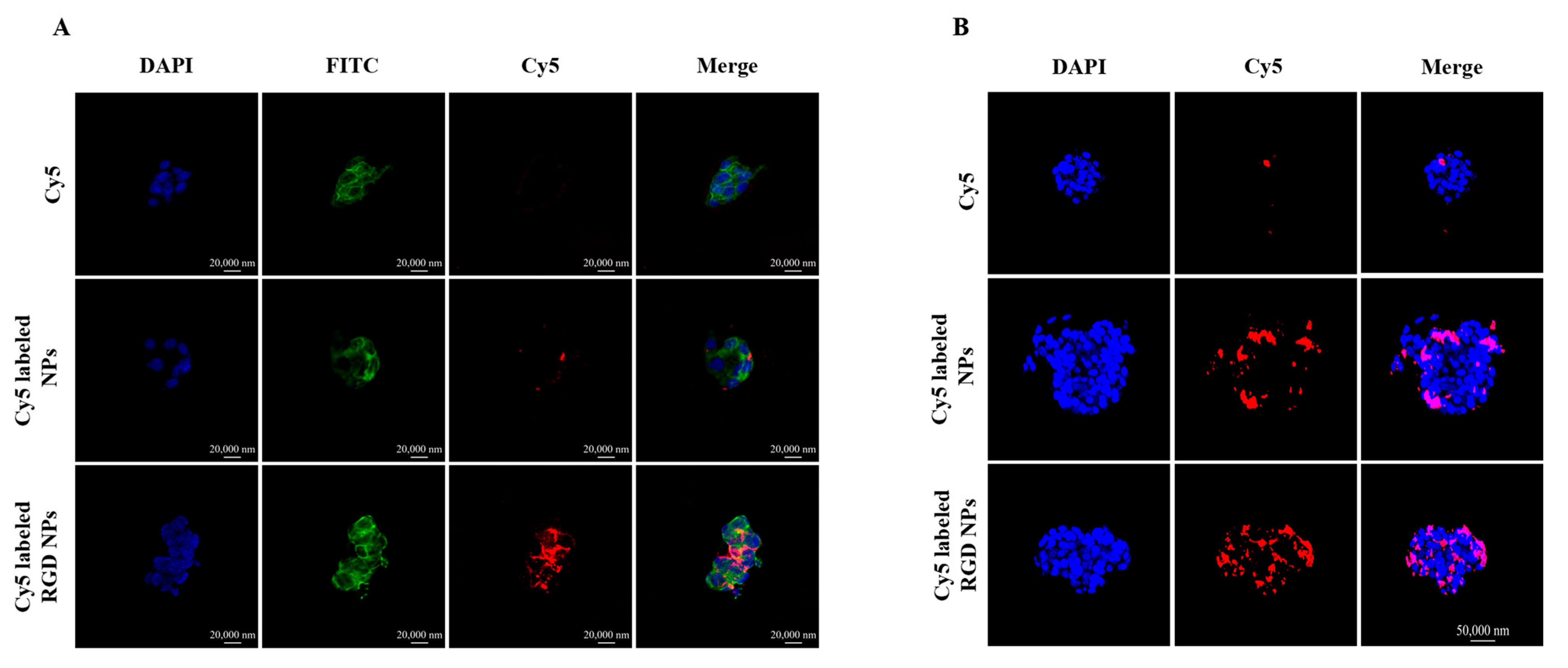 Pharmaceutics 15 01827 g003 Pharmaceutics 15 01827 g003