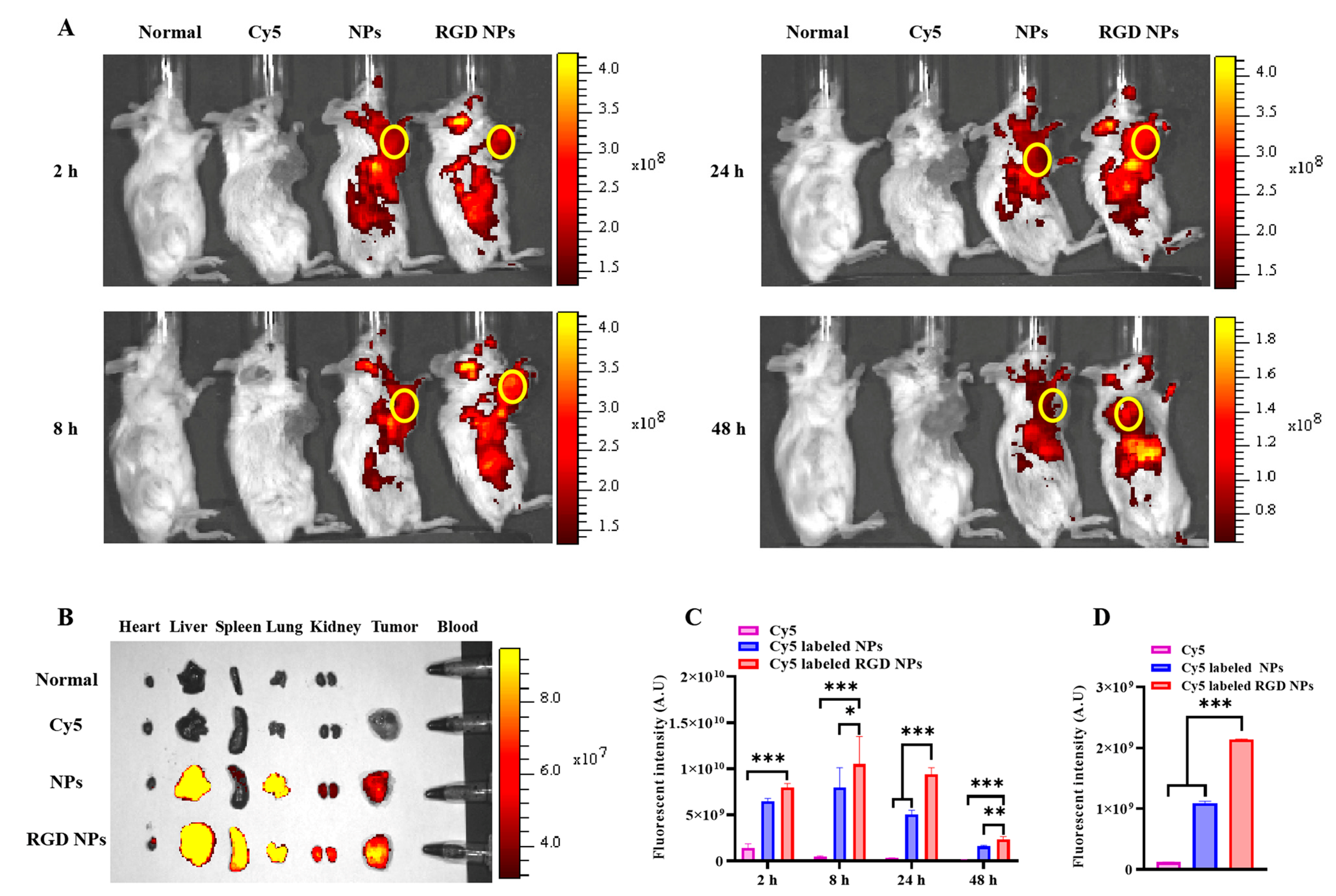 Pharmaceutics 15 01827 g005 Pharmaceutics 15 01827 g005