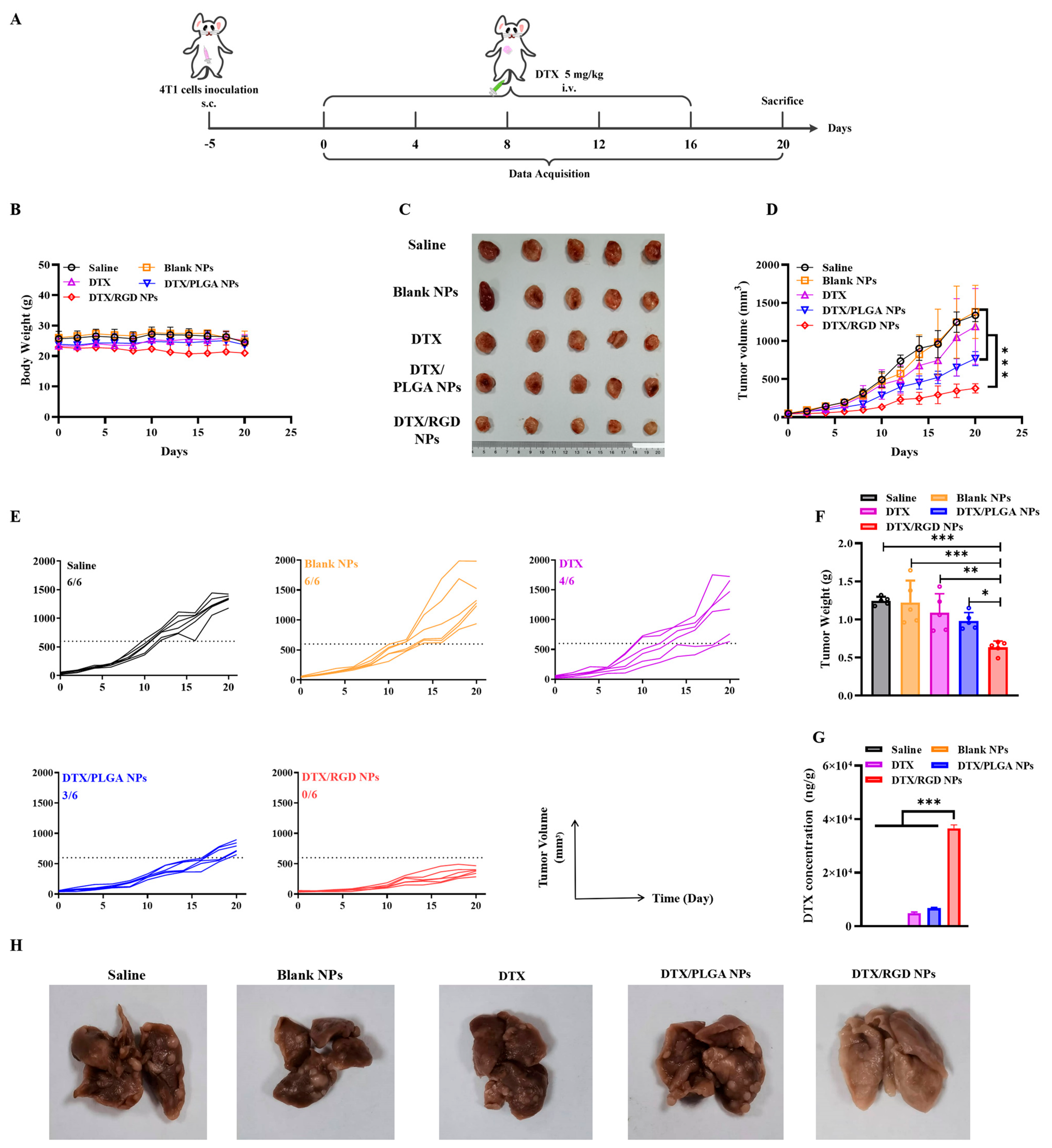 Pharmaceutics 15 01827 g006 Pharmaceutics 15 01827 g006