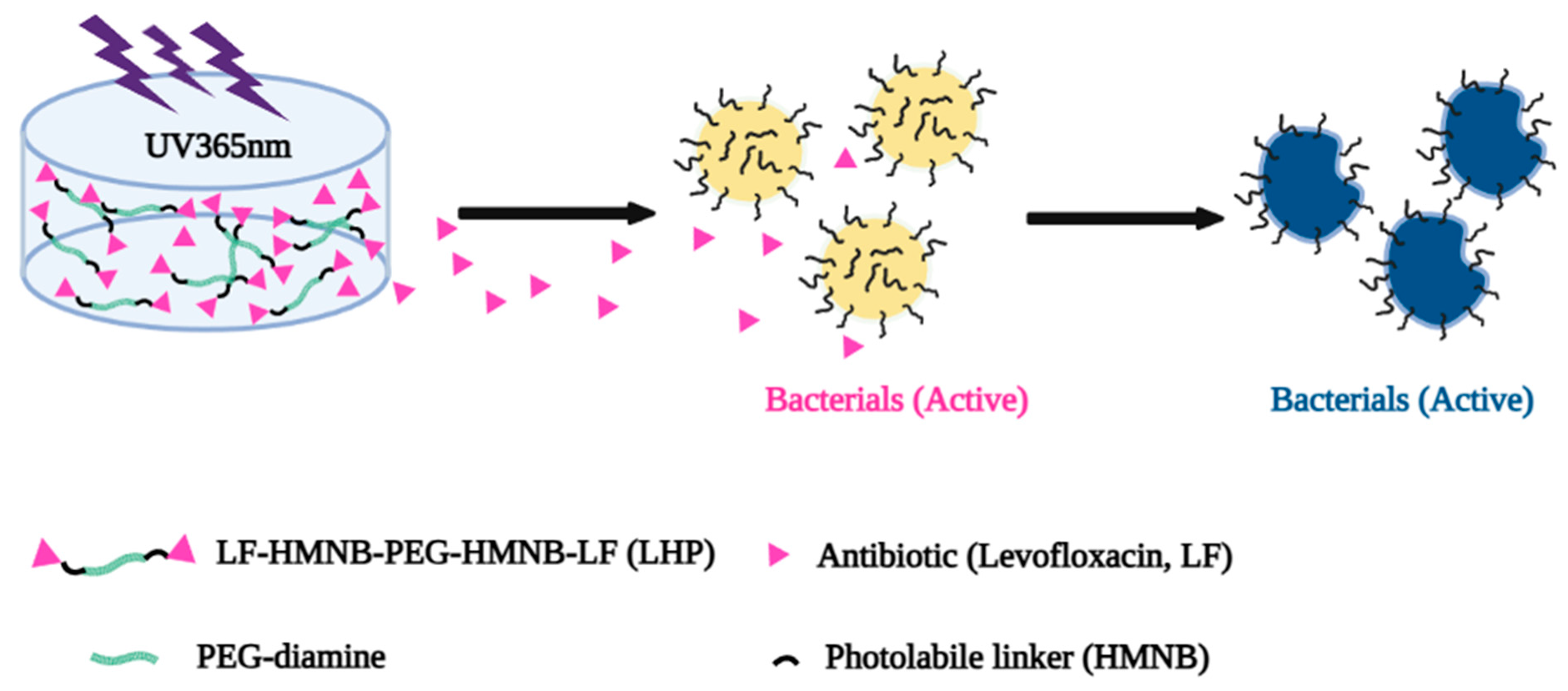 Pharmaceutics 15 01829 g004