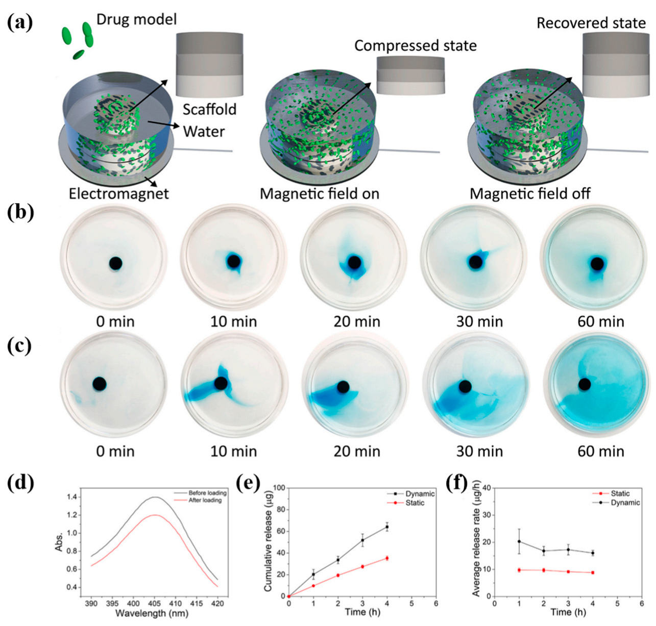 Pharmaceutics 15 01829 g006