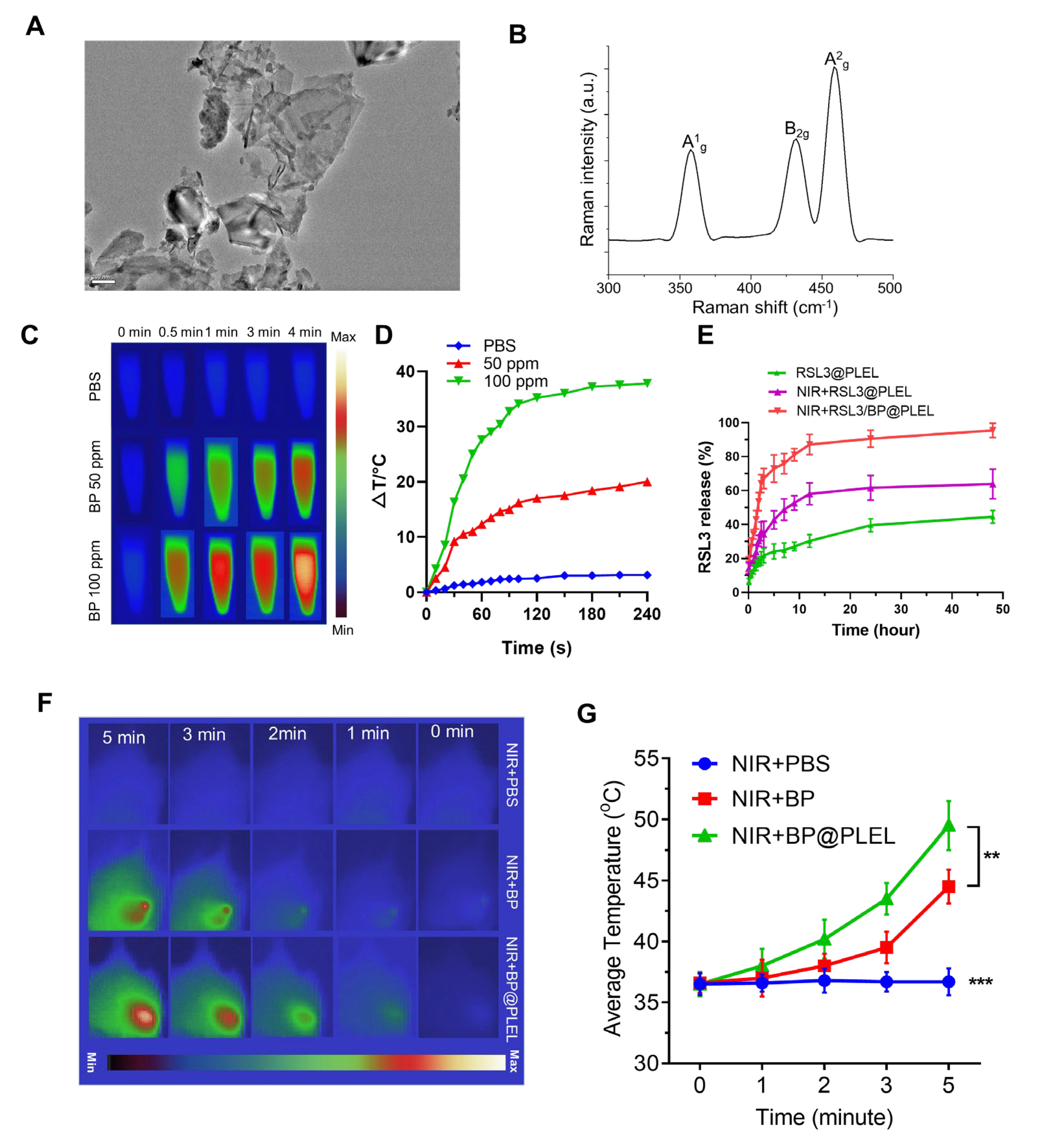 Pharmaceutics 15 01830 g002 Pharmaceutics 15 01830 g002