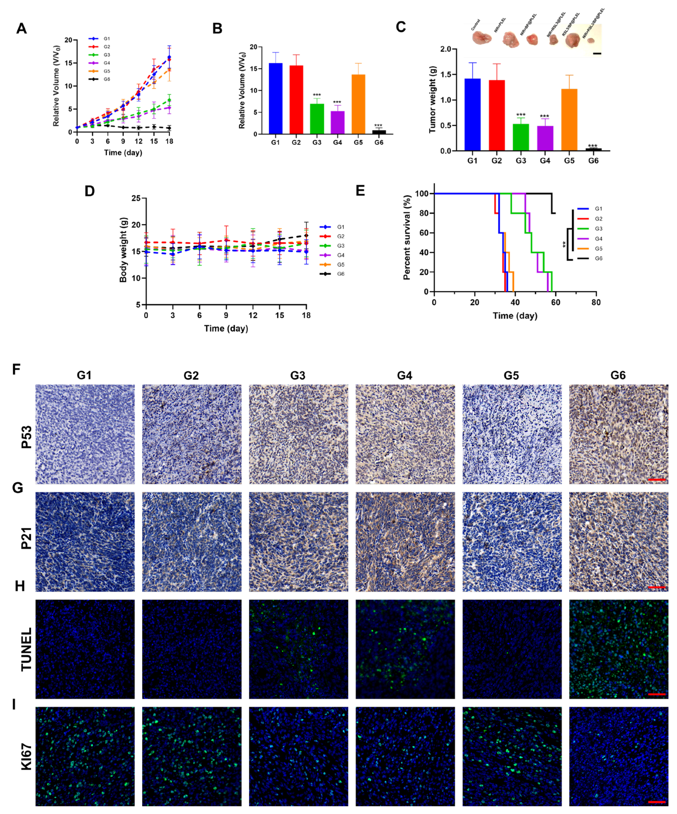 Pharmaceutics 15 01830 g003 Pharmaceutics 15 01830 g003