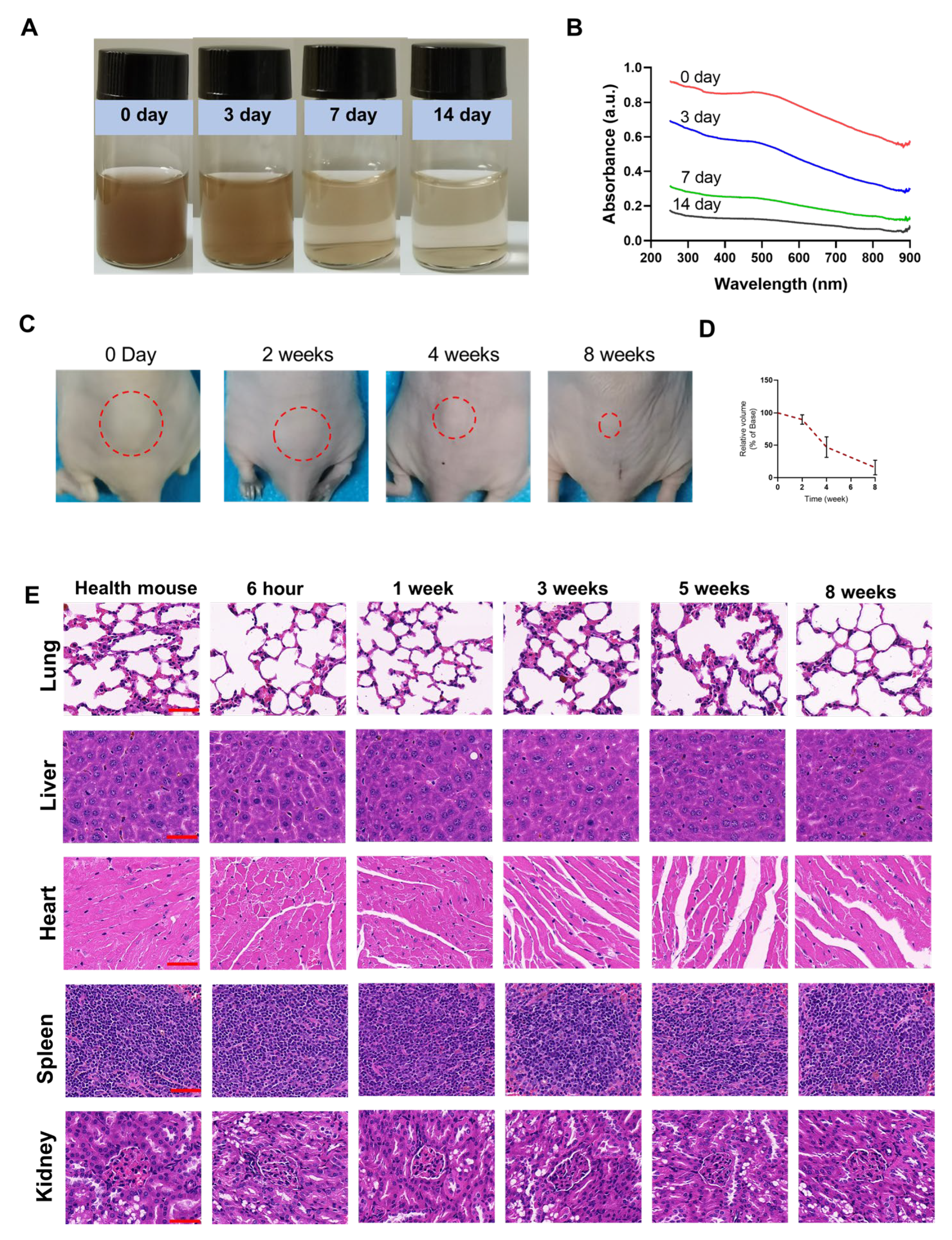 Pharmaceutics 15 01830 g006 Pharmaceutics 15 01830 g006