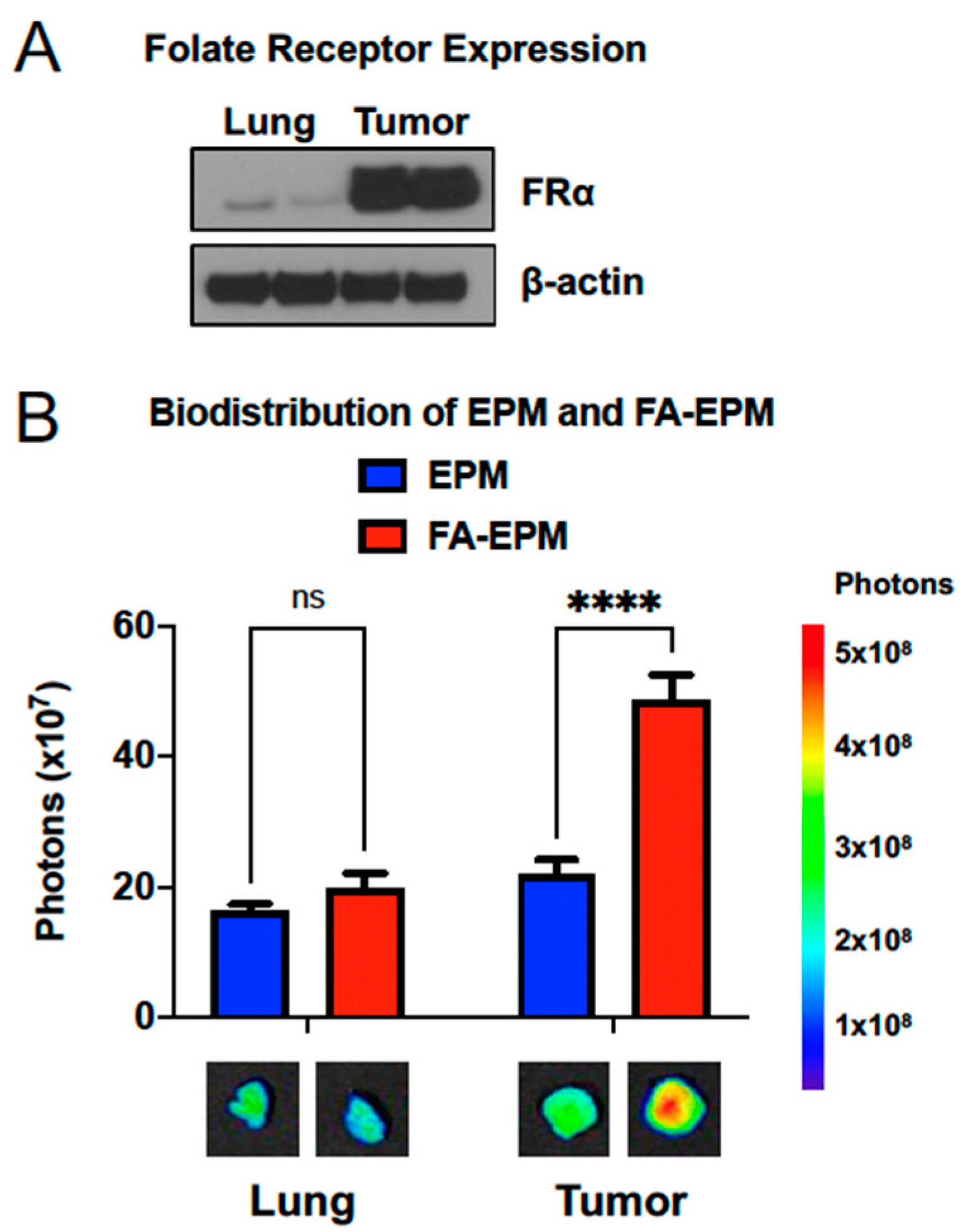 Pharmaceutics 15 01832 g002 Pharmaceutics 15 01832 g002