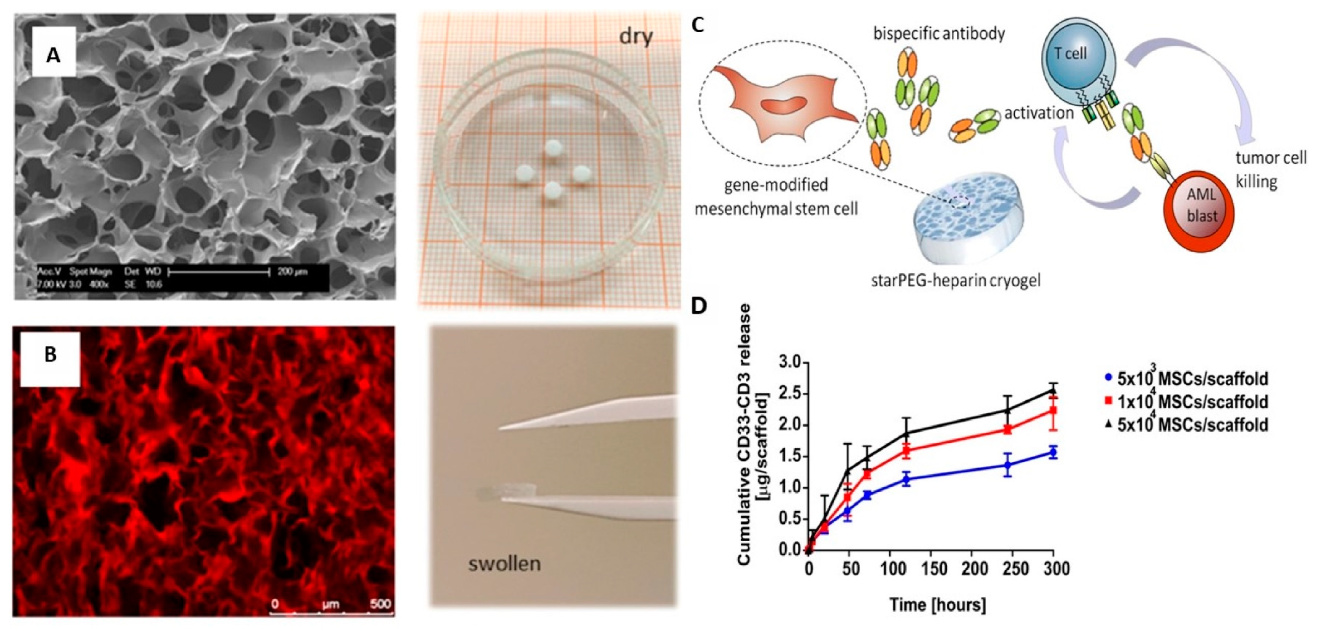 Pharmaceutics 15 01836 g005