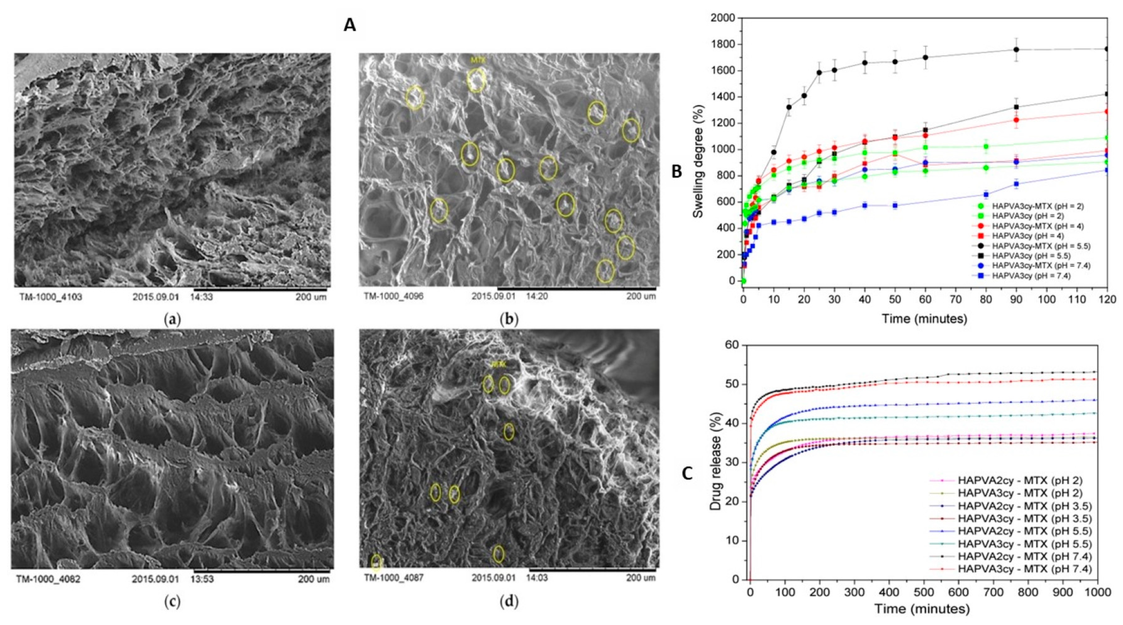 Pharmaceutics 15 01836 g006