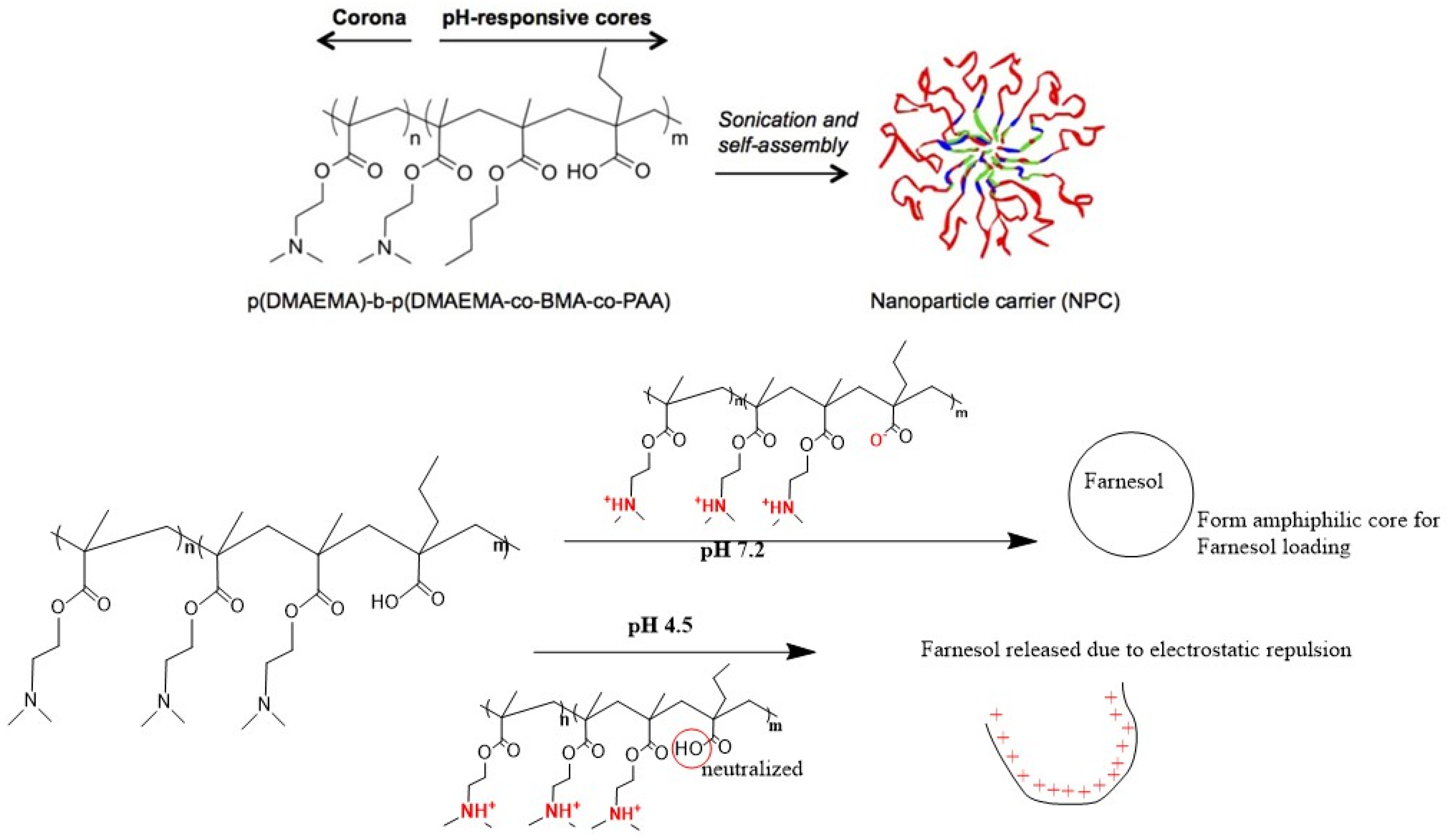 Pharmaceutics 15 01837 g003