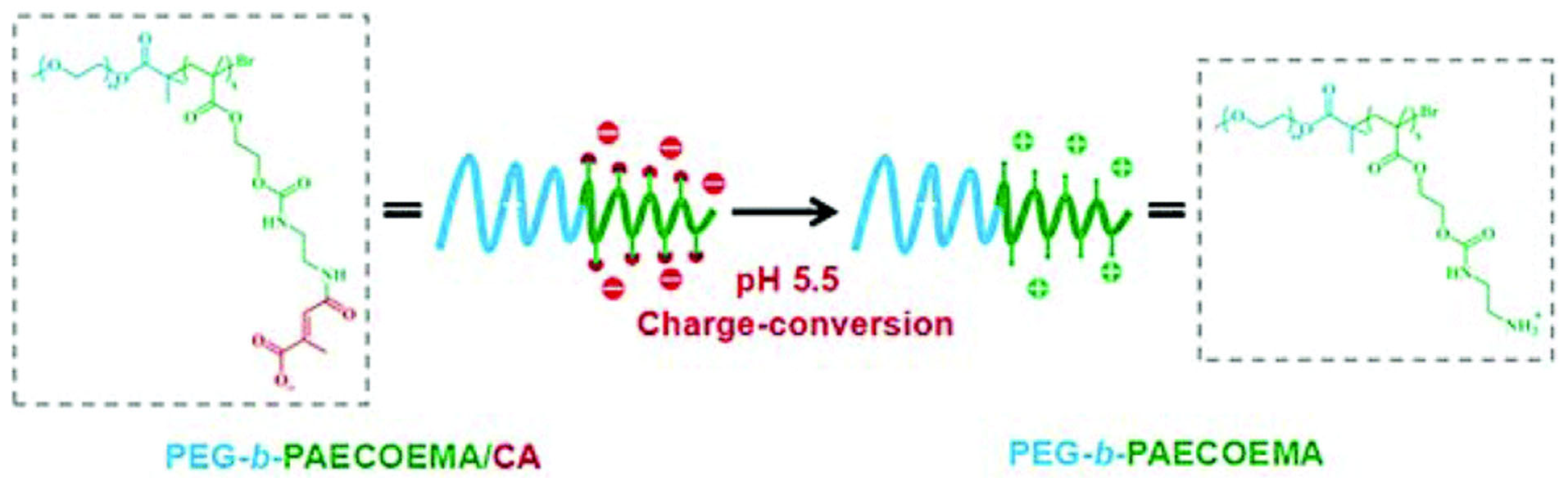 Pharmaceutics 15 01837 g004