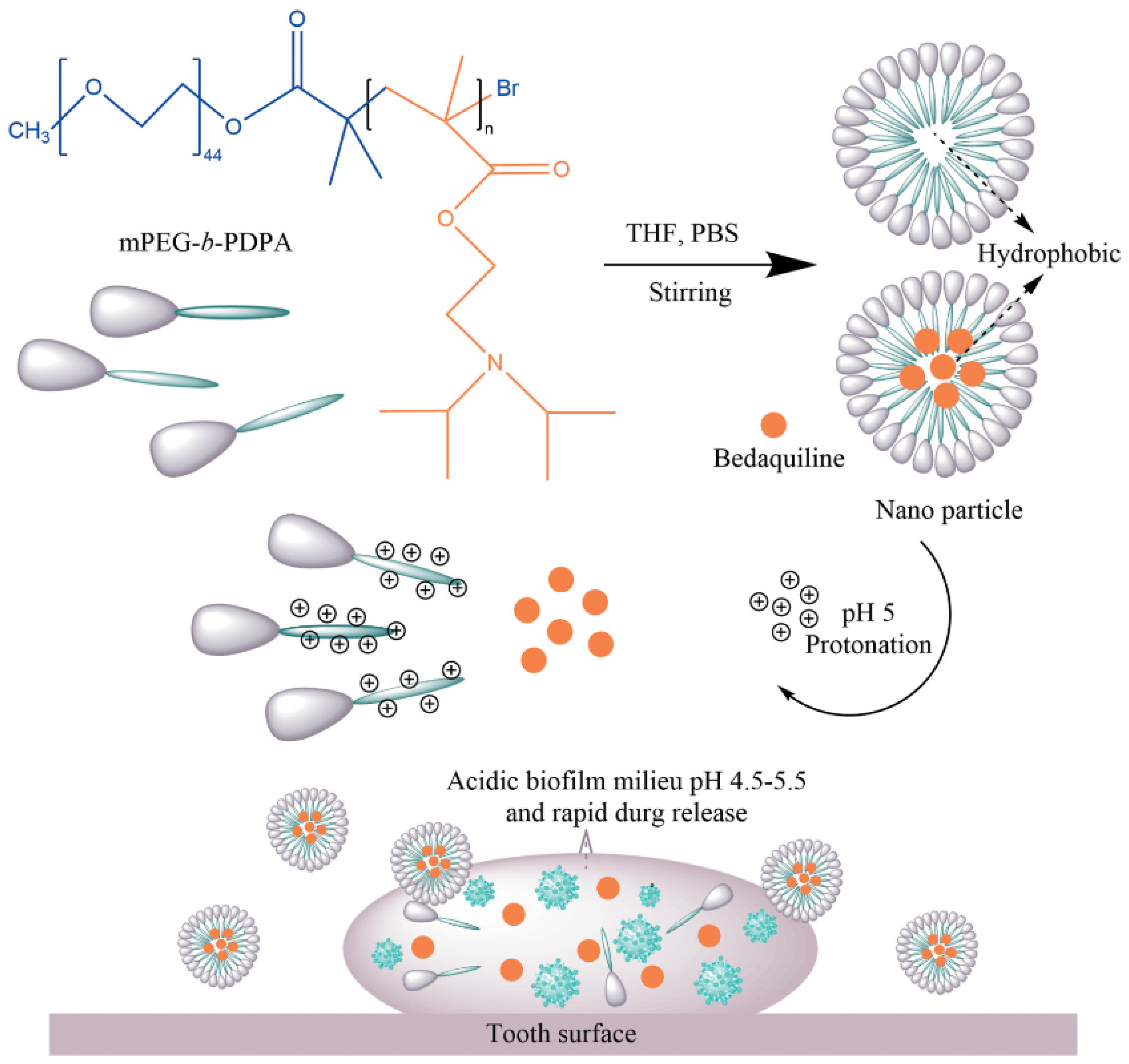 Pharmaceutics 15 01837 g005