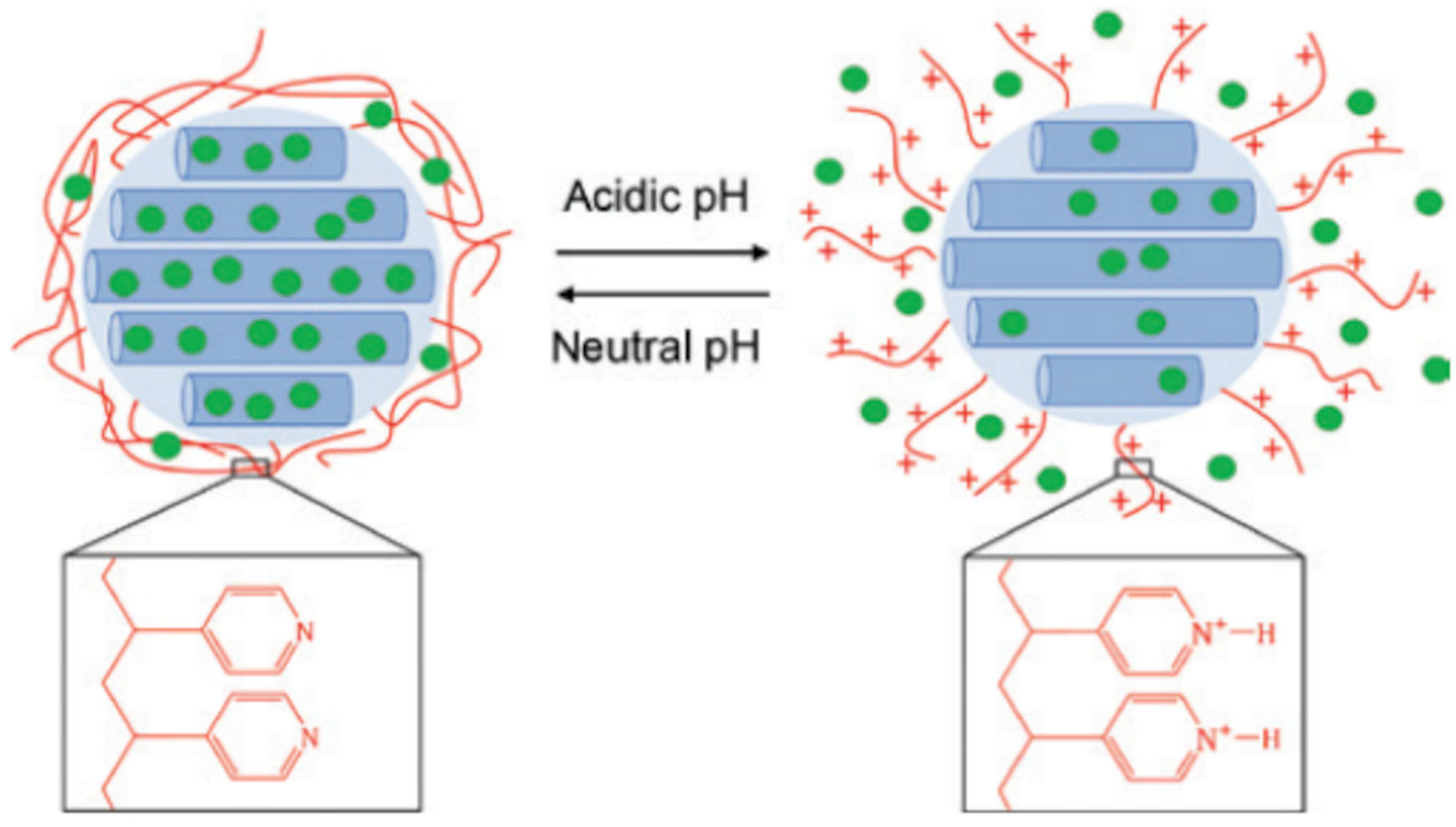 Pharmaceutics 15 01837 g006