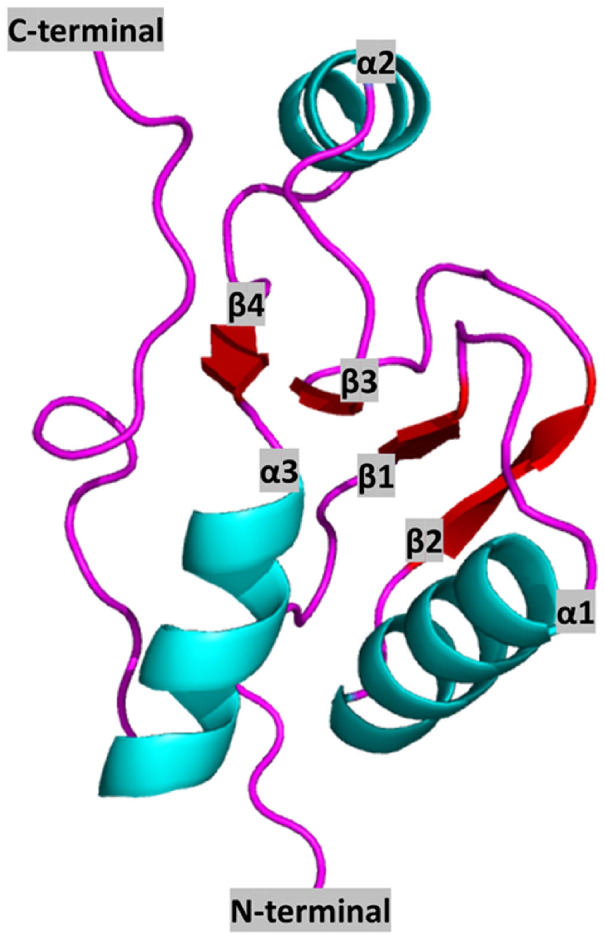 Pharmaceutics 15 01839 g001