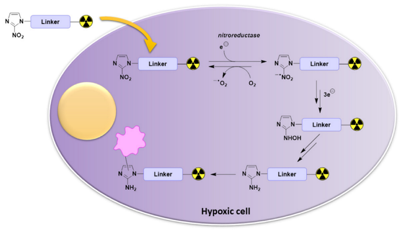 Pharmaceutics 15 01840 g002 Pharmaceutics 15 01840 g002