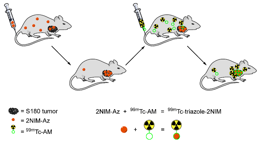 Pharmaceutics 15 01840 g017 Pharmaceutics 15 01840 g017