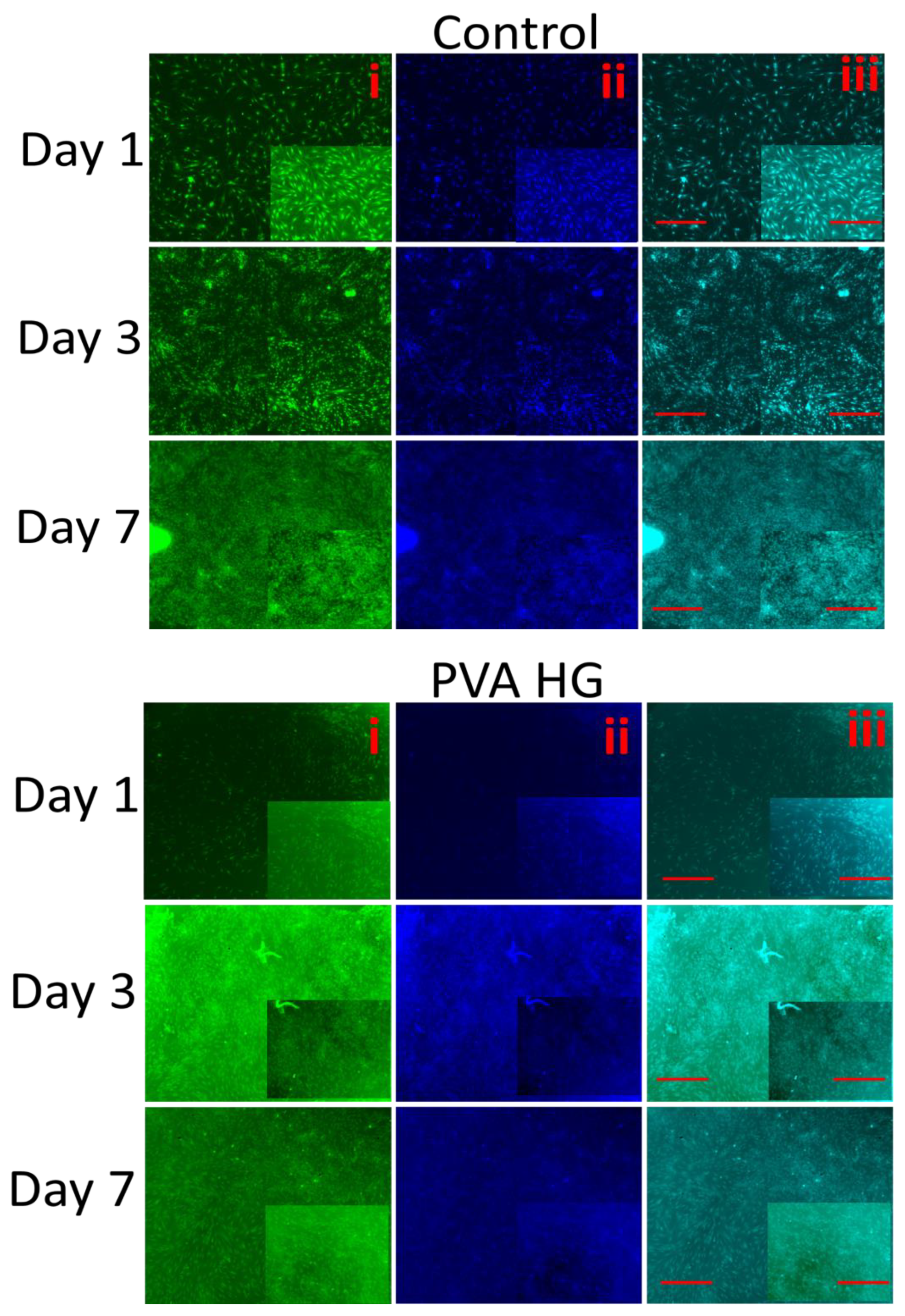 Pharmaceutics 15 01843 g009a Pharmaceutics 15 01843 g009a