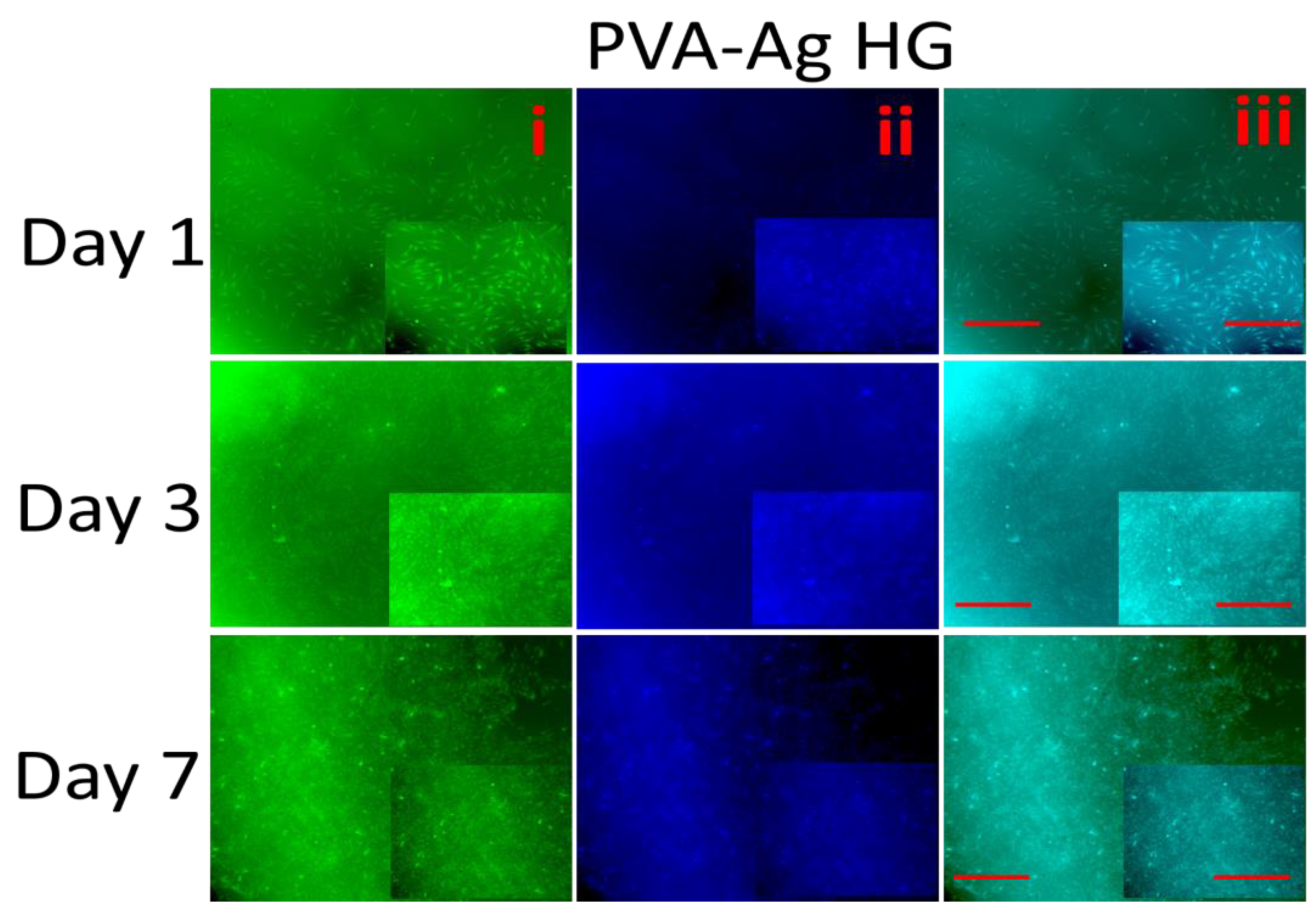 Pharmaceutics 15 01843 g009b Pharmaceutics 15 01843 g009b